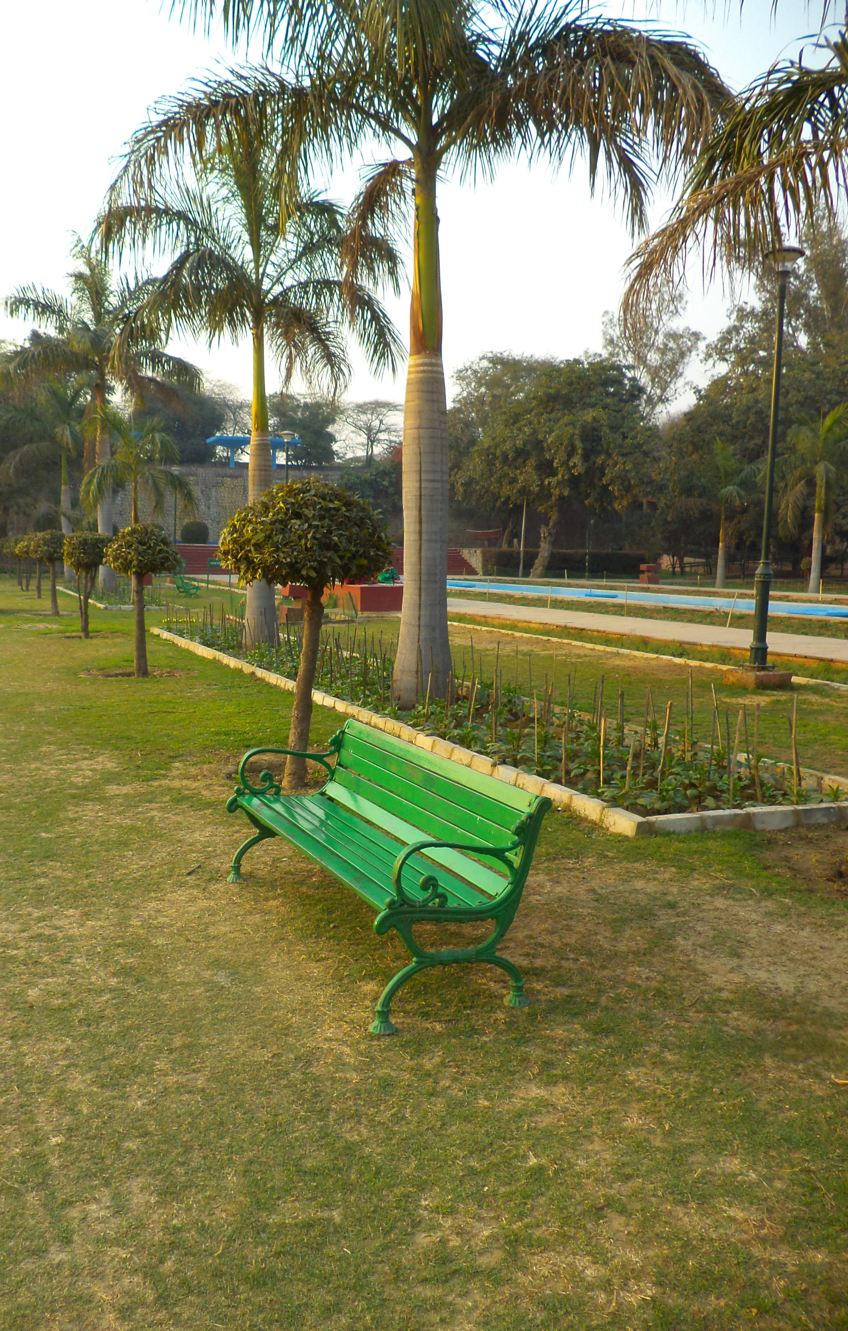 The Park Bench