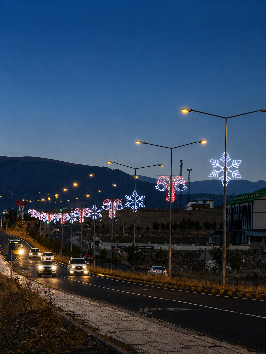 Kars Sarıkamış Belediyesi Şehir Girişi Dekoratif Süsleme Projesi
