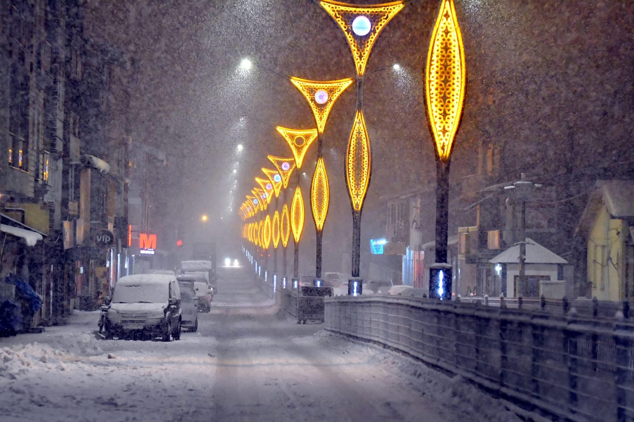 Kars Sarıkamış Belediyesi Protokol Yolu Aydınlatma Projesi