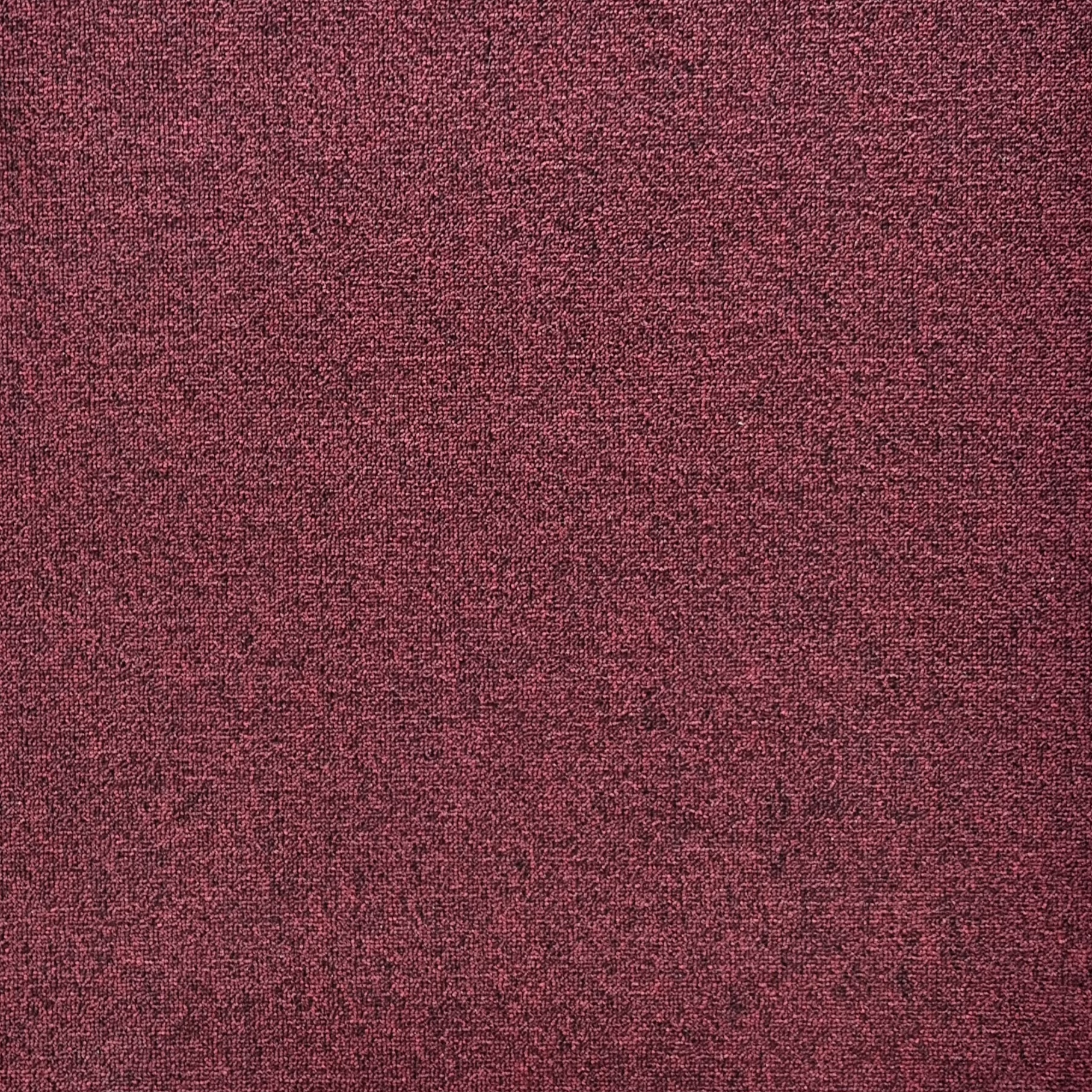 ZORBA 446