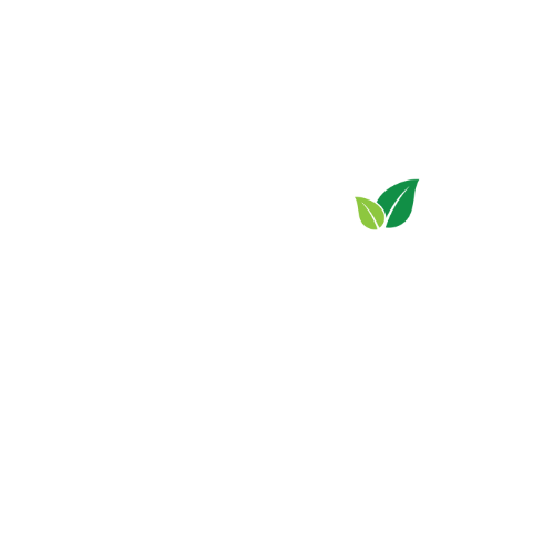 Domatto Inteligência Patrimonial