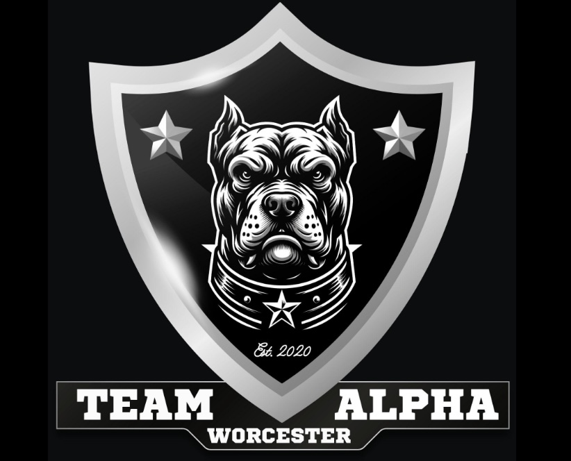 Worcester Cowboys logo