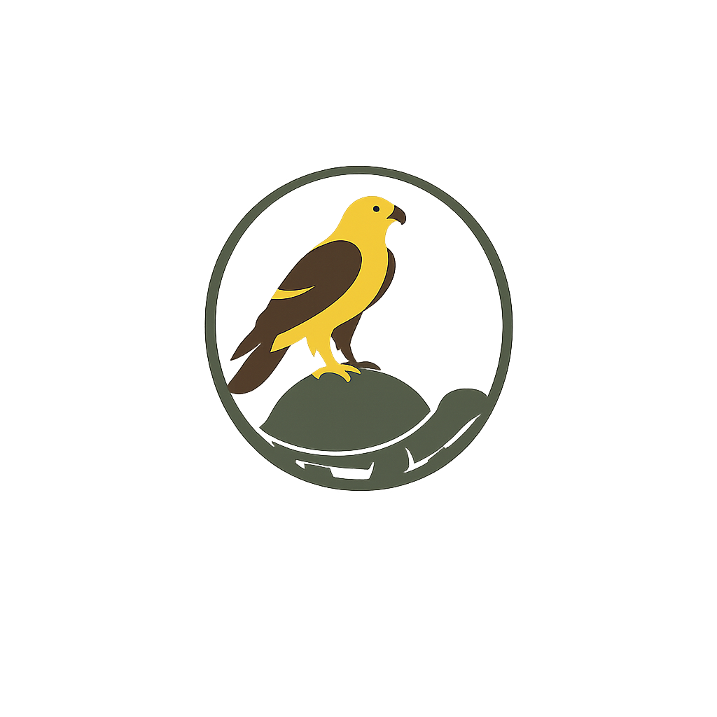 Galapagos Hawk