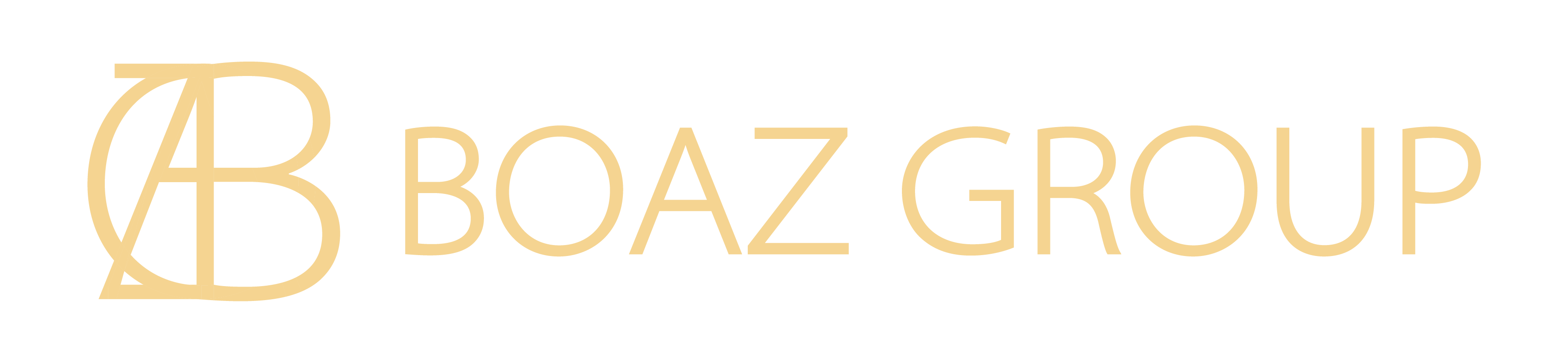 보아즈그룹 로고 (다크 네이비)