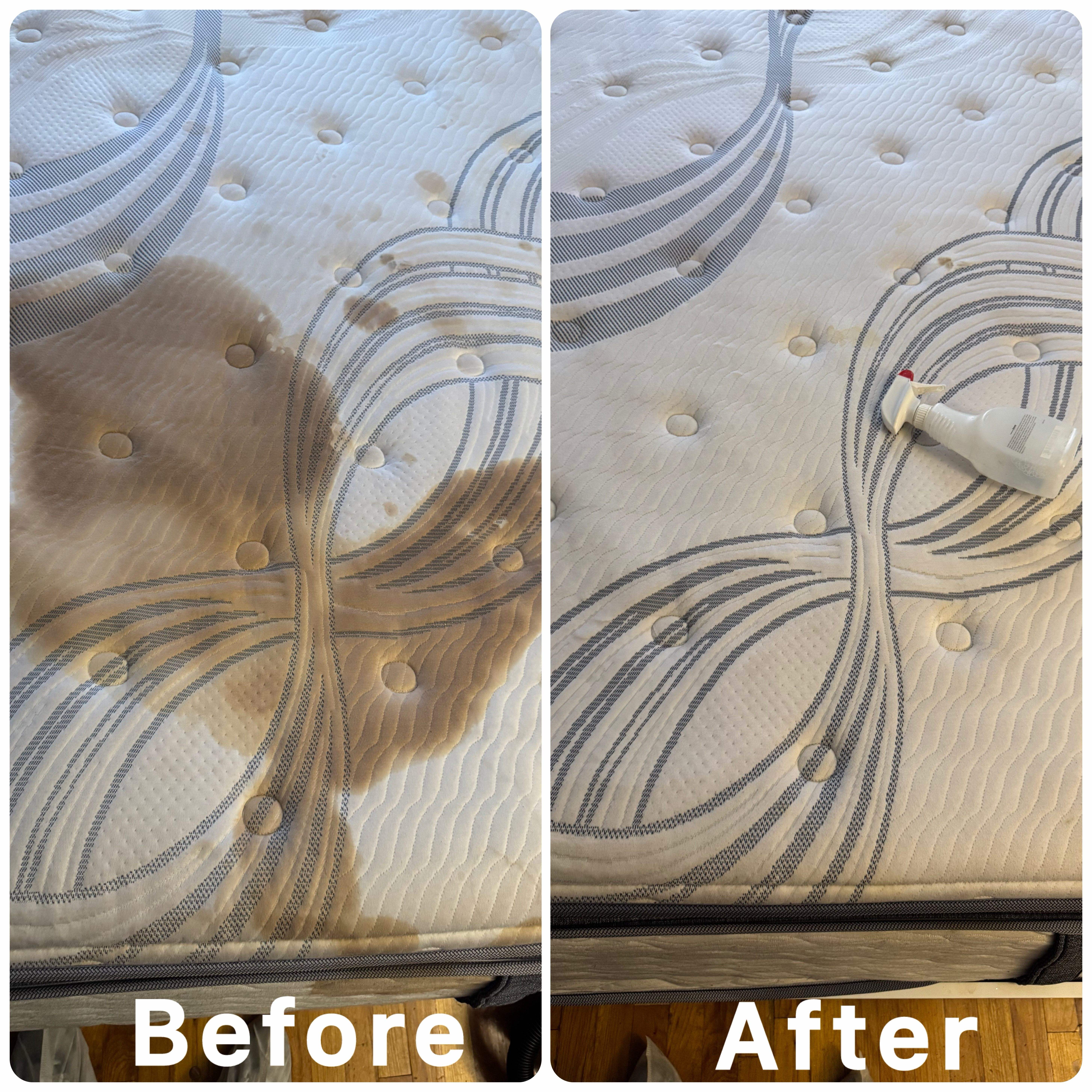 Cream Mattress – Pet Hair & Odor Removal - Before and After Cleaning