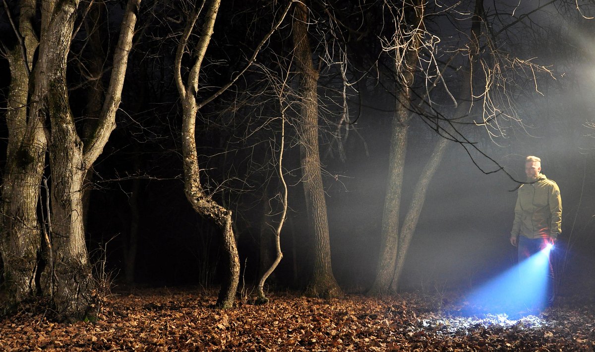 Into Romania's Bermuda Triangle – The Hoia Baciu Haunted Forest