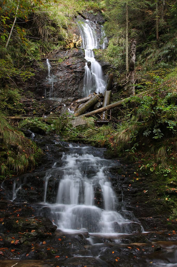 Castles Peaks Cascades daytrips cluj napoca — Pădurea Craiului valley and Bridal Veil Waterfall trail