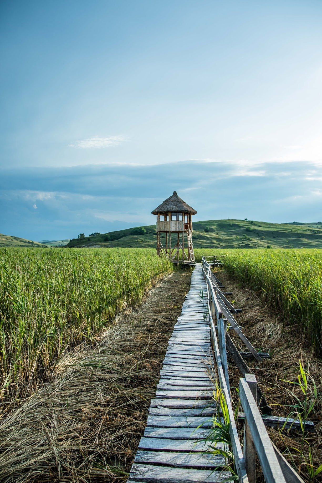 Baroque Ruins Armenian Charm Transylvanian Wetlands daytrips cluj napoca — birdwatching tower at the Reed Beds of Sic