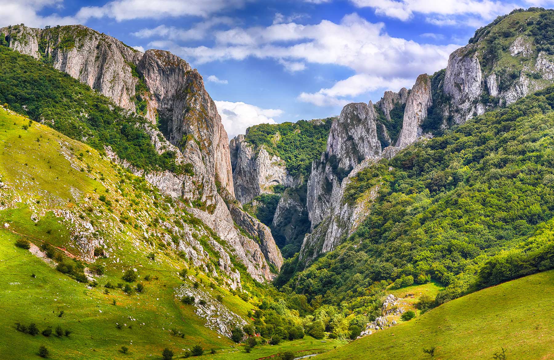 Gorges, Salt & Saxon Souls — day trip from Cluj-Napoca