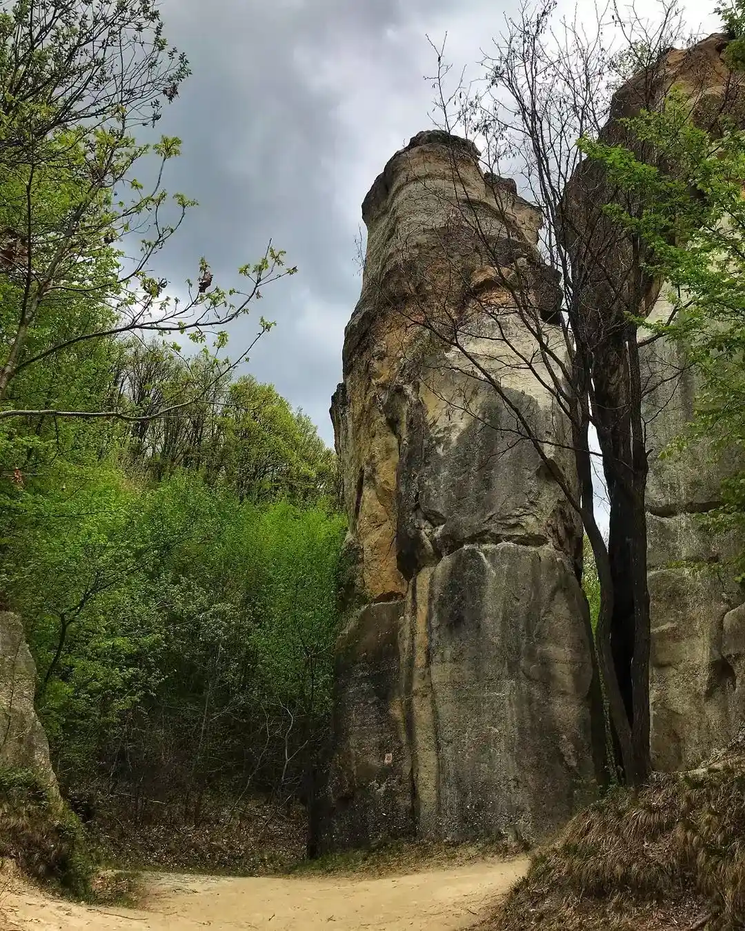 Blooms Rocks Ruins daytrips cluj napoca — Dragon's Garden rock formations carved by millions of years of erosion