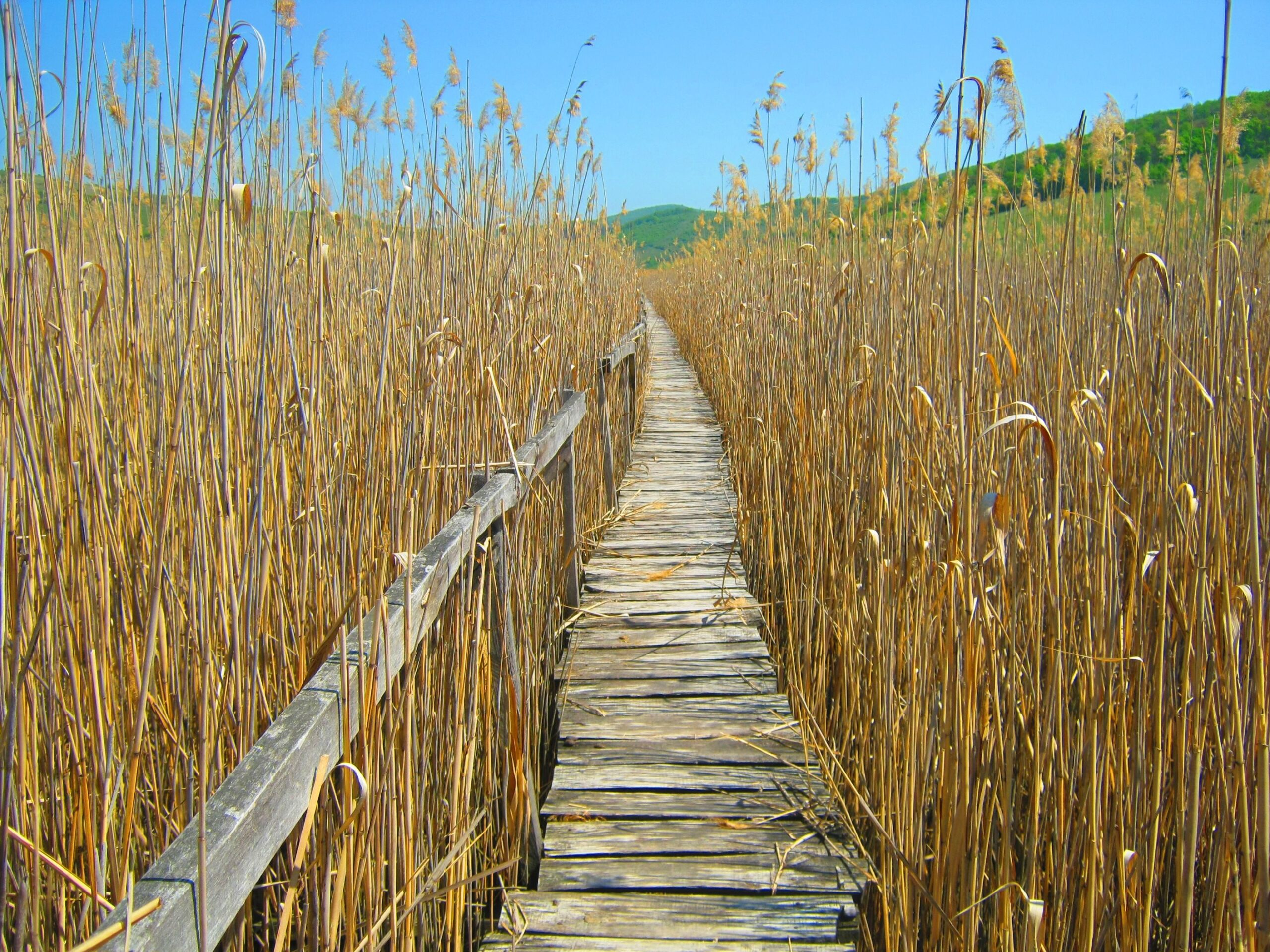 Baroque Ruins, Armenian Charm & Transylvanian Wetlands