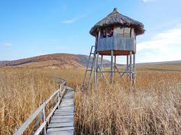 Baroque Ruins Armenian Charm Transylvanian Wetlands daytrips cluj napoca — Castelul Bánffy drone view over Bontida