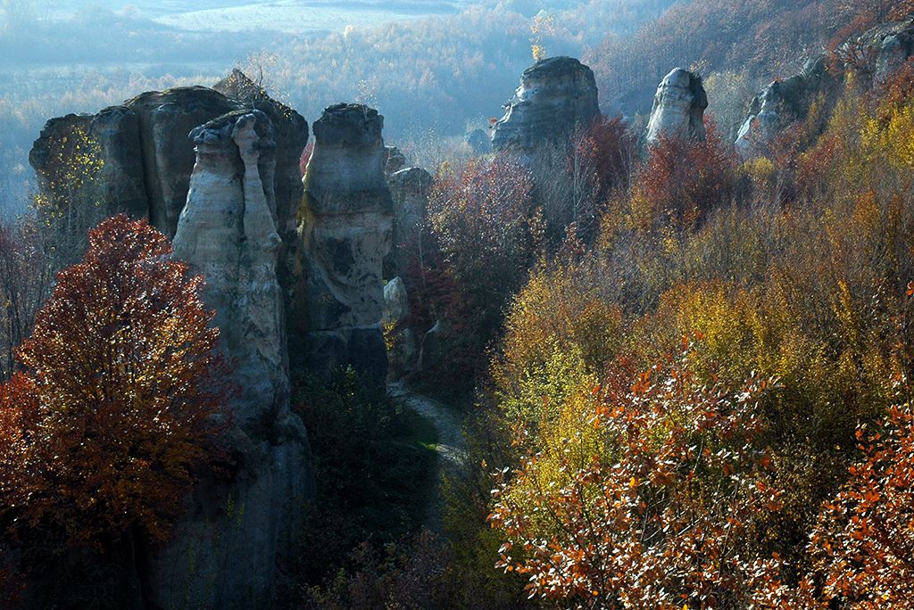 Blooms Rocks Ruins daytrips cluj napoca — Jibou Botanical Garden seasonal blooms and themed gardens