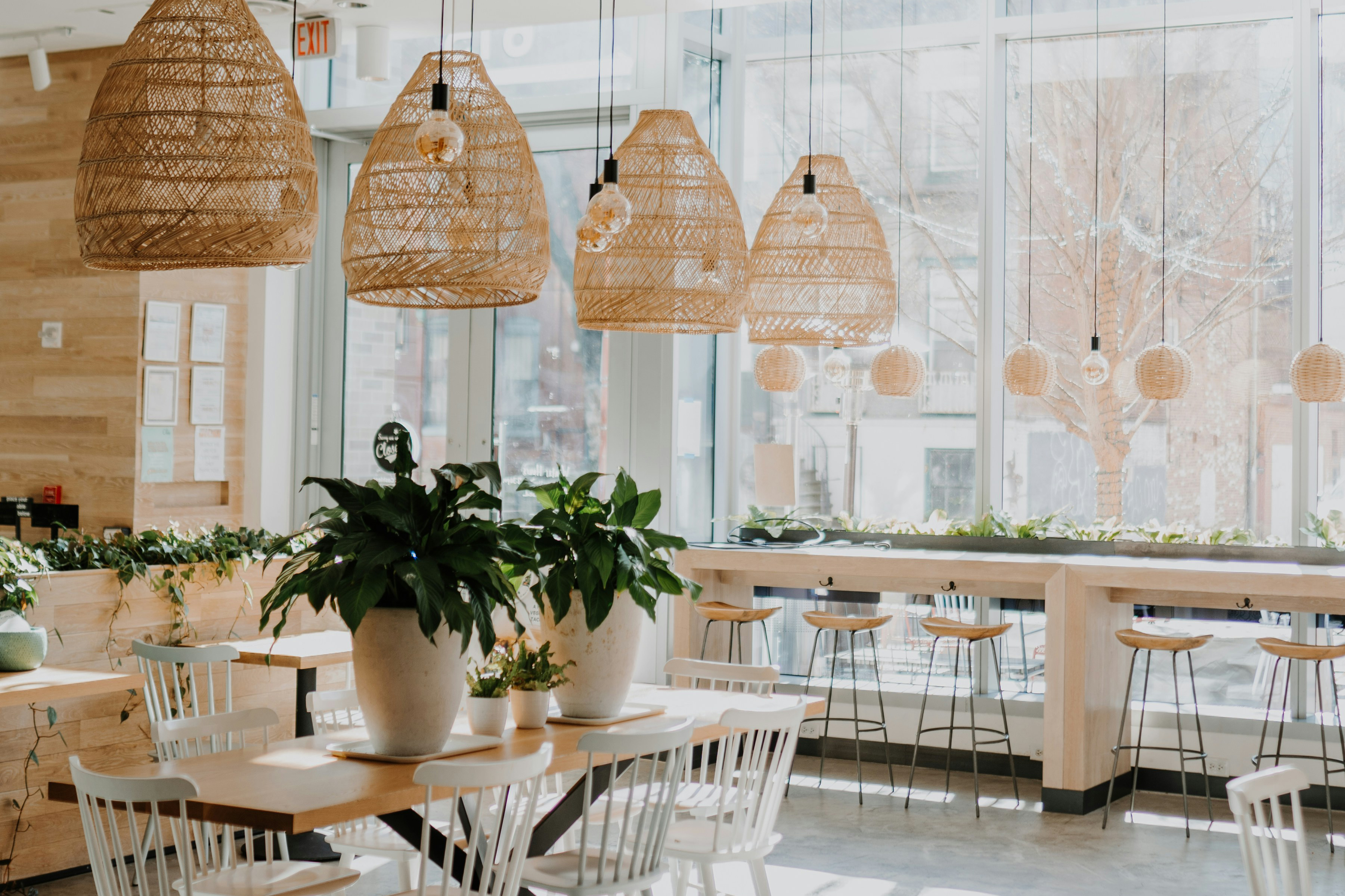 Café - View 1