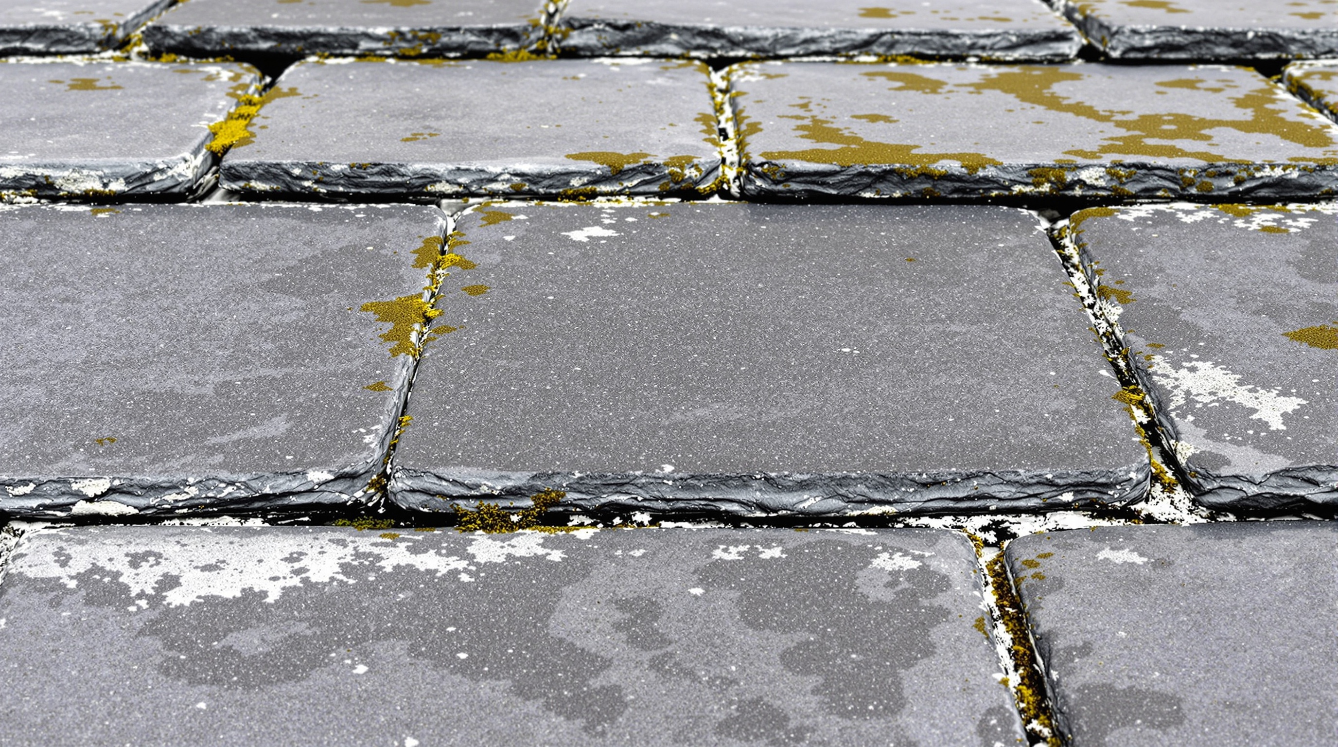 Method Statements For Roof Cleaning: What To Include