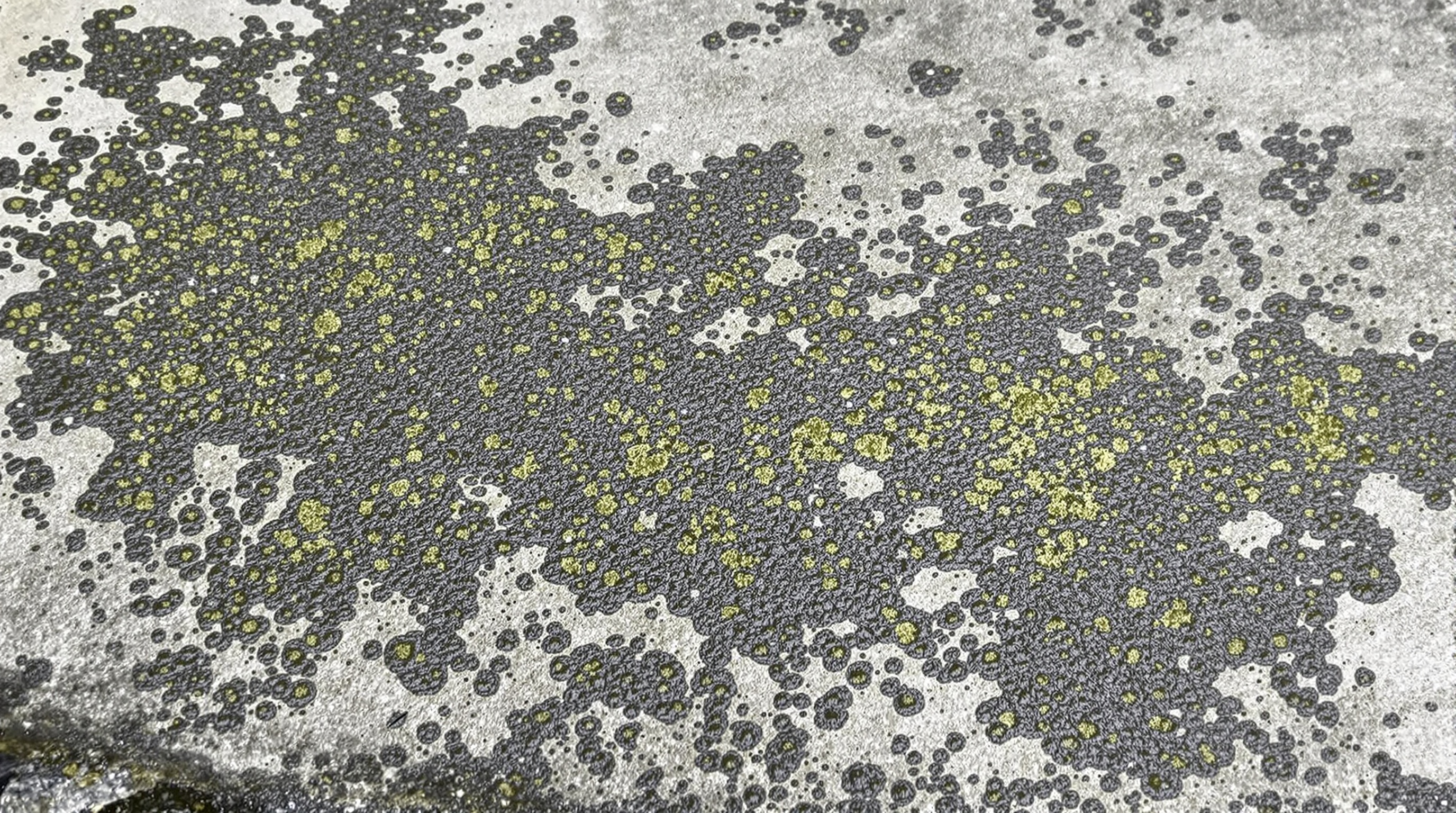 What Are RAMS? A Simple Guide For Exterior Cleaning Companies & Contractors