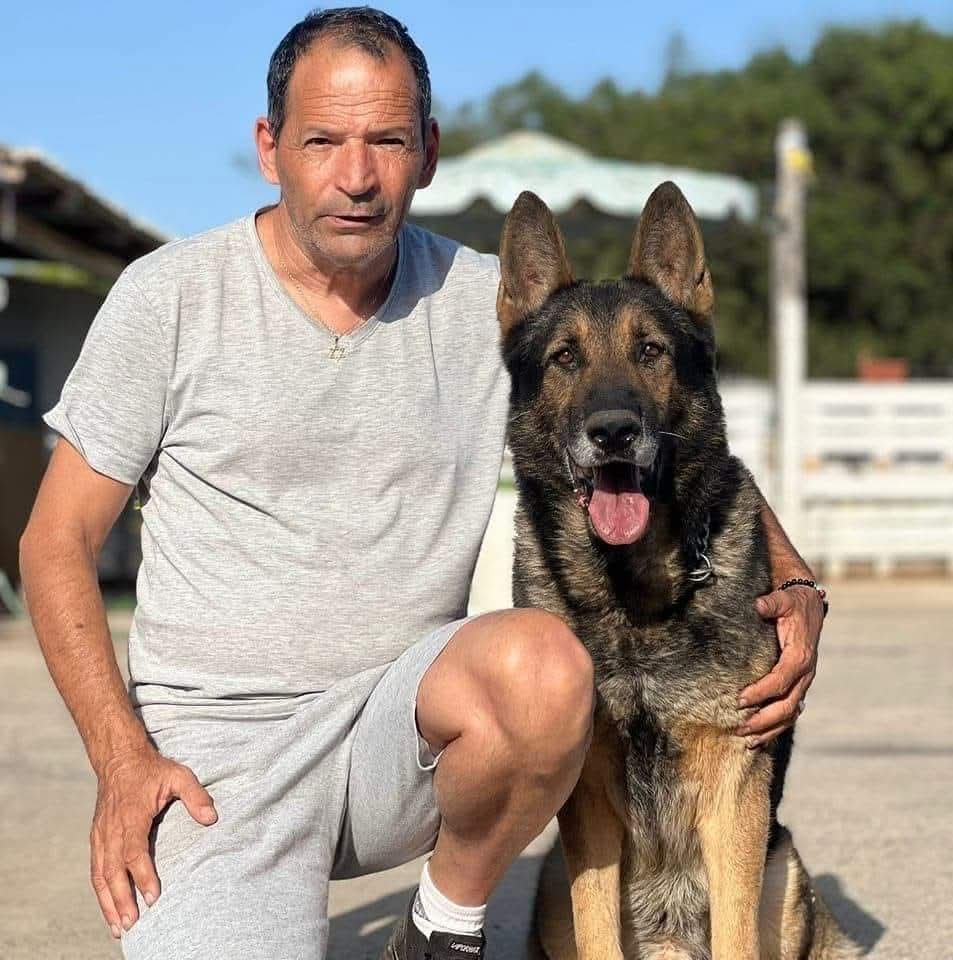Ari Ravel Dog Training