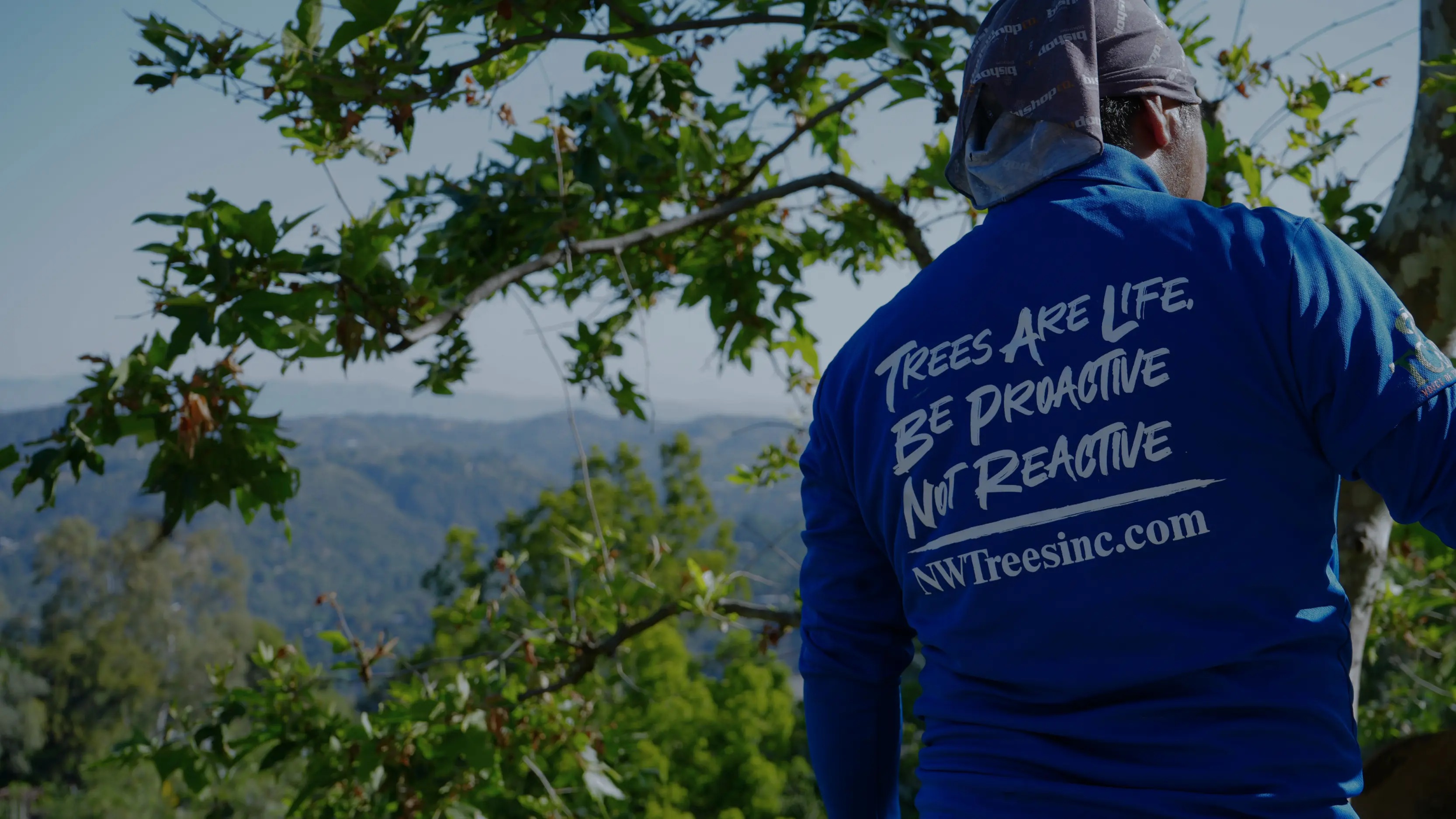 Natural Wonders Trees — ISA Certified Arborists serving Simi Valley & Ventura County Professional tree care services in Simi Valley and Ventura County