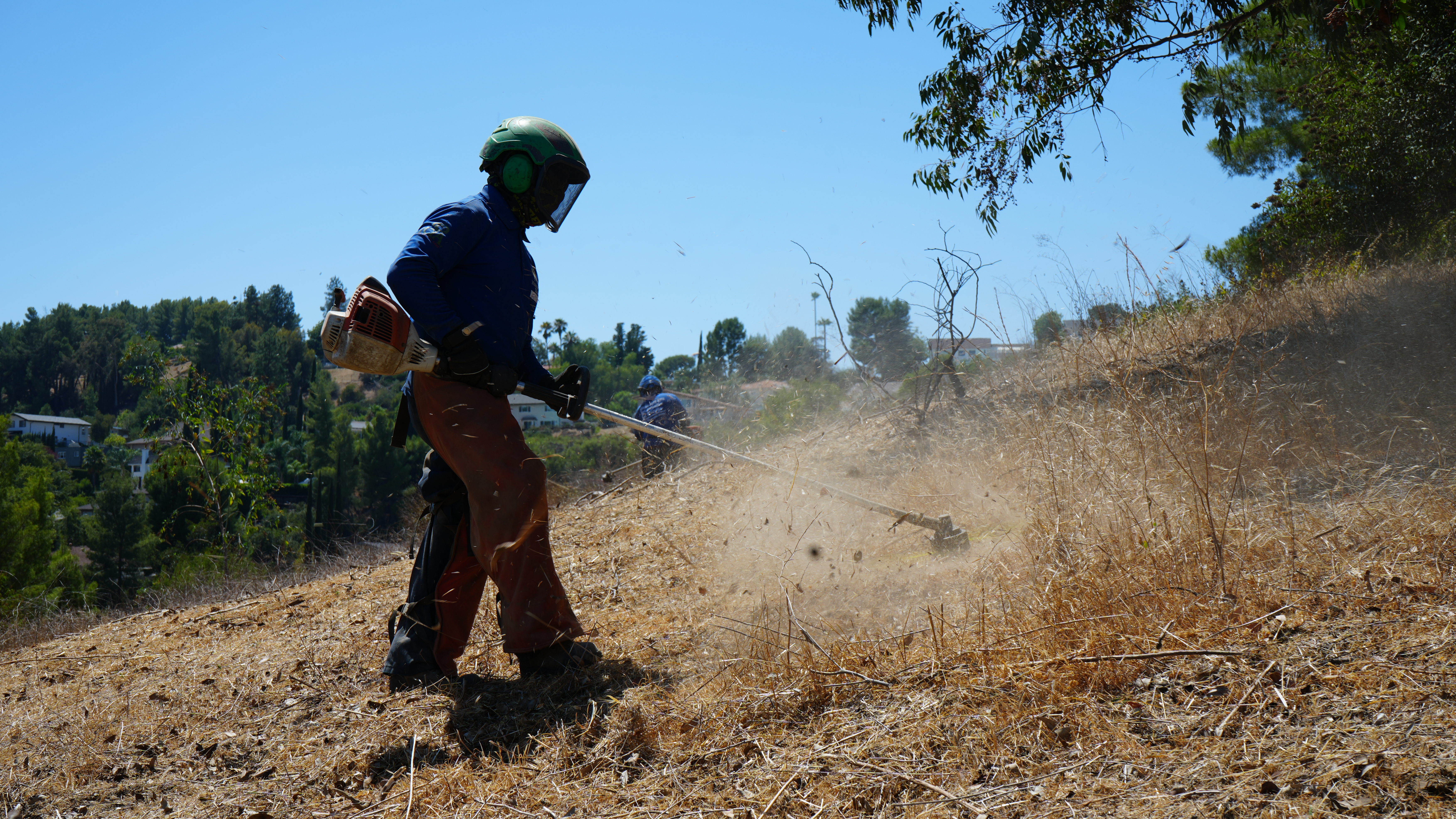 California Defensible Space Requirements: Woodland Hills 2026 Guide — Natural Wonders Trees