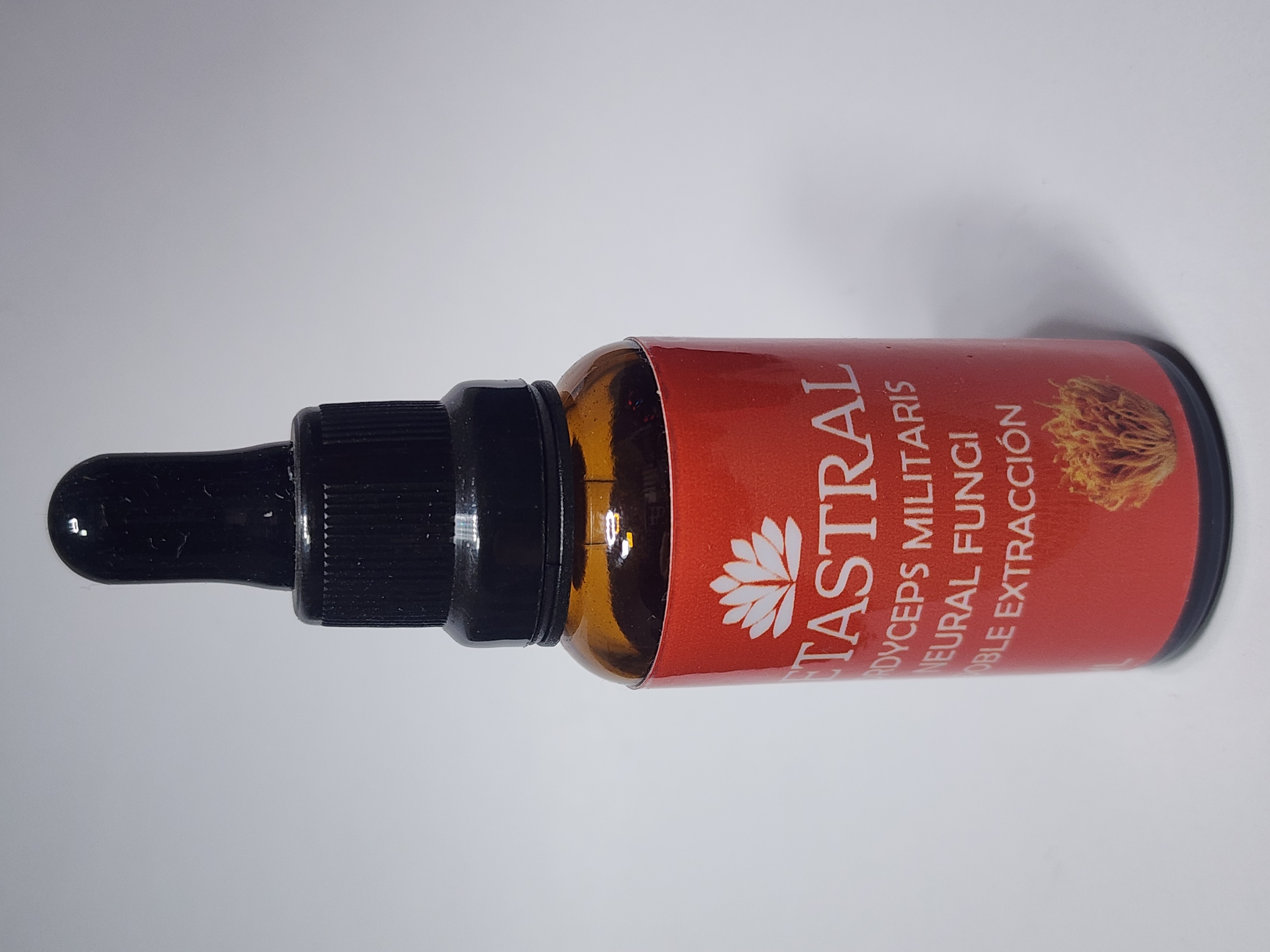 Cordyceps Respiratorio