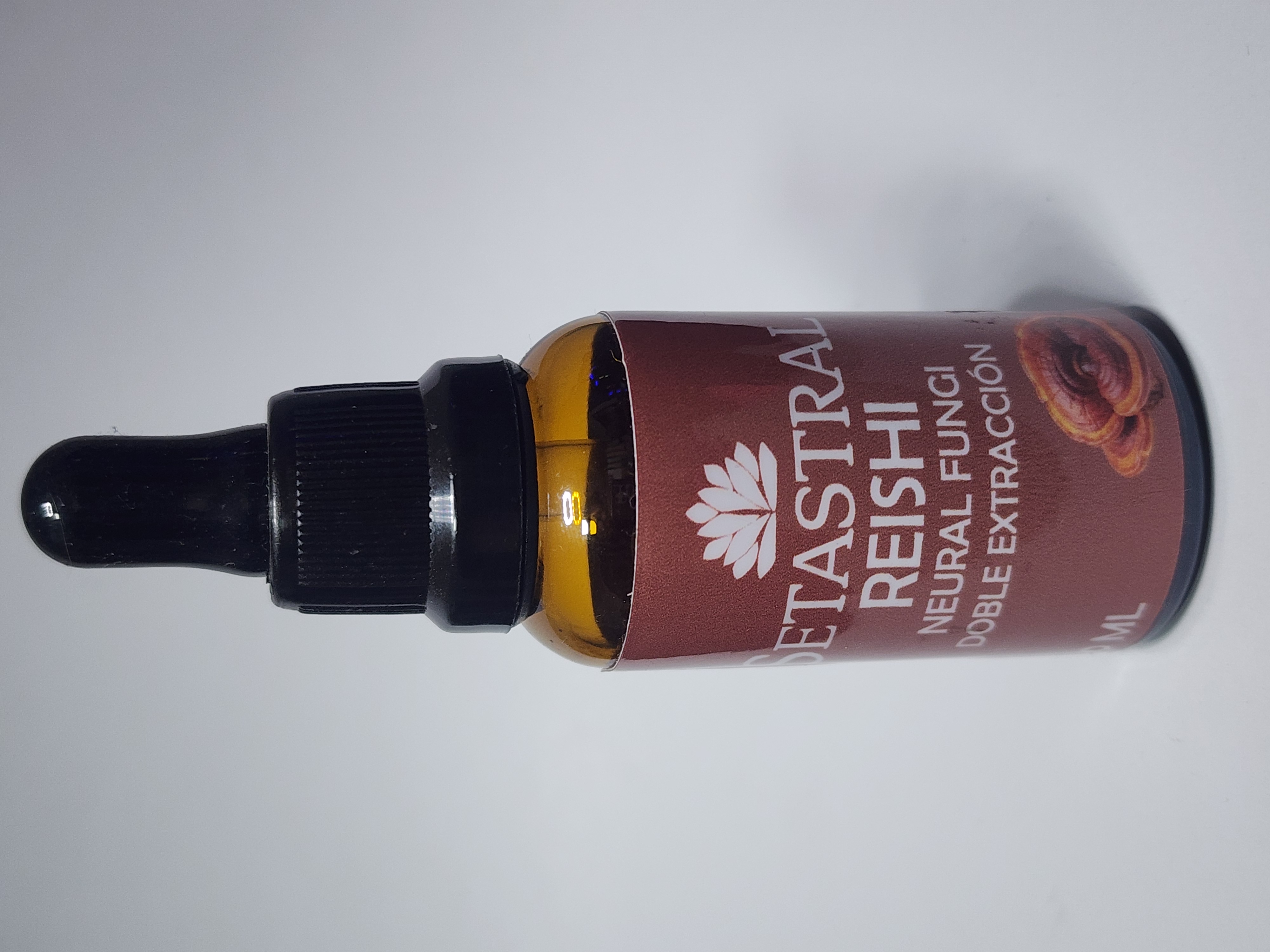 Reishi Tintura
