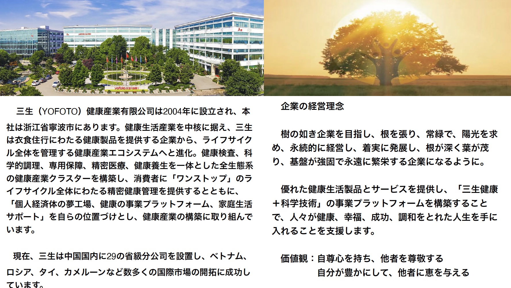 三生(YOFOTO)× 視百年|会社情報とブランドストーリー