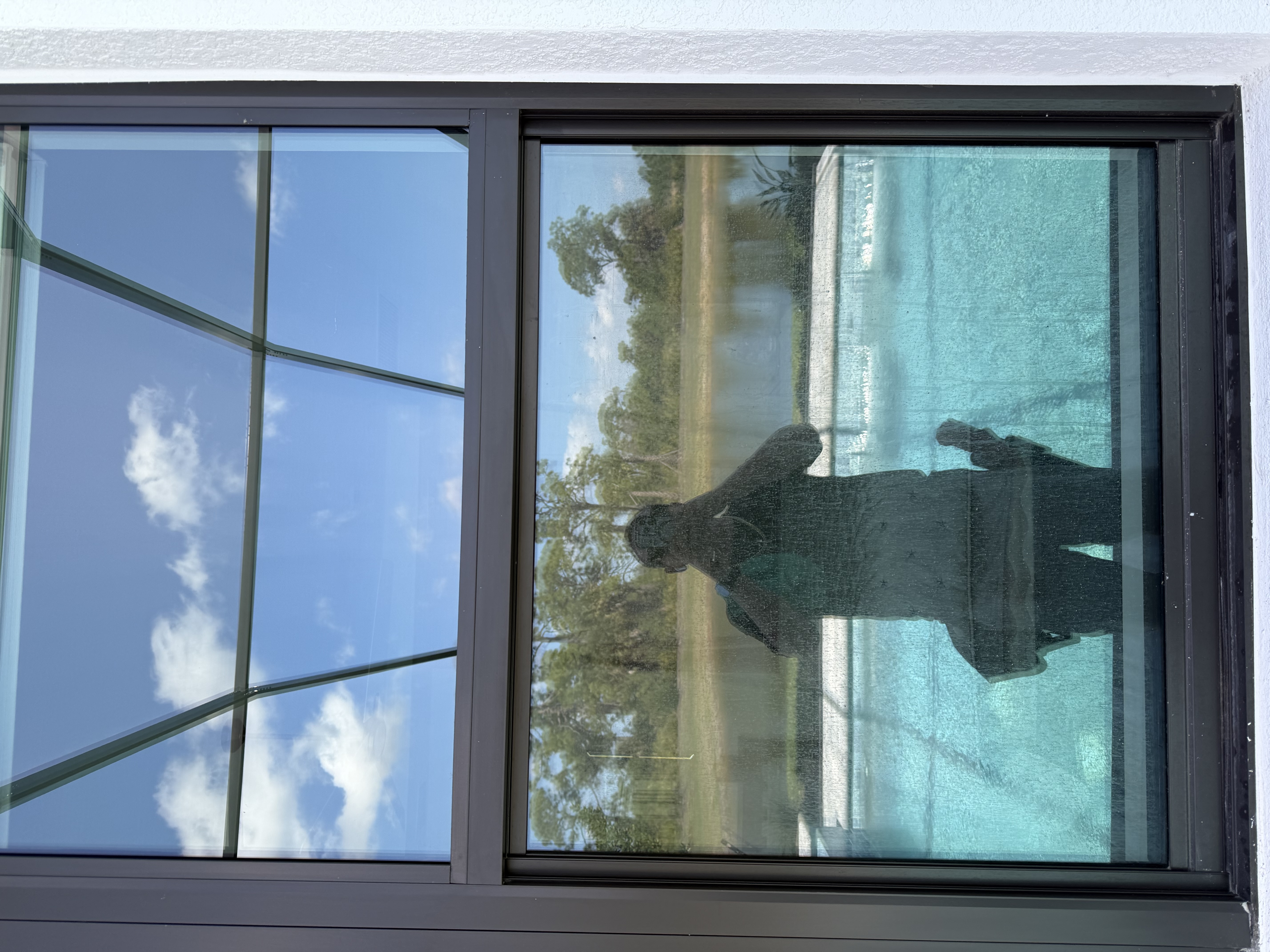 Before Window Cleaning