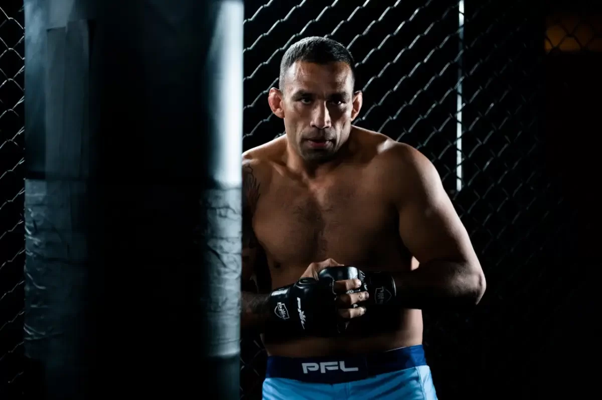 Fabricio Werdum