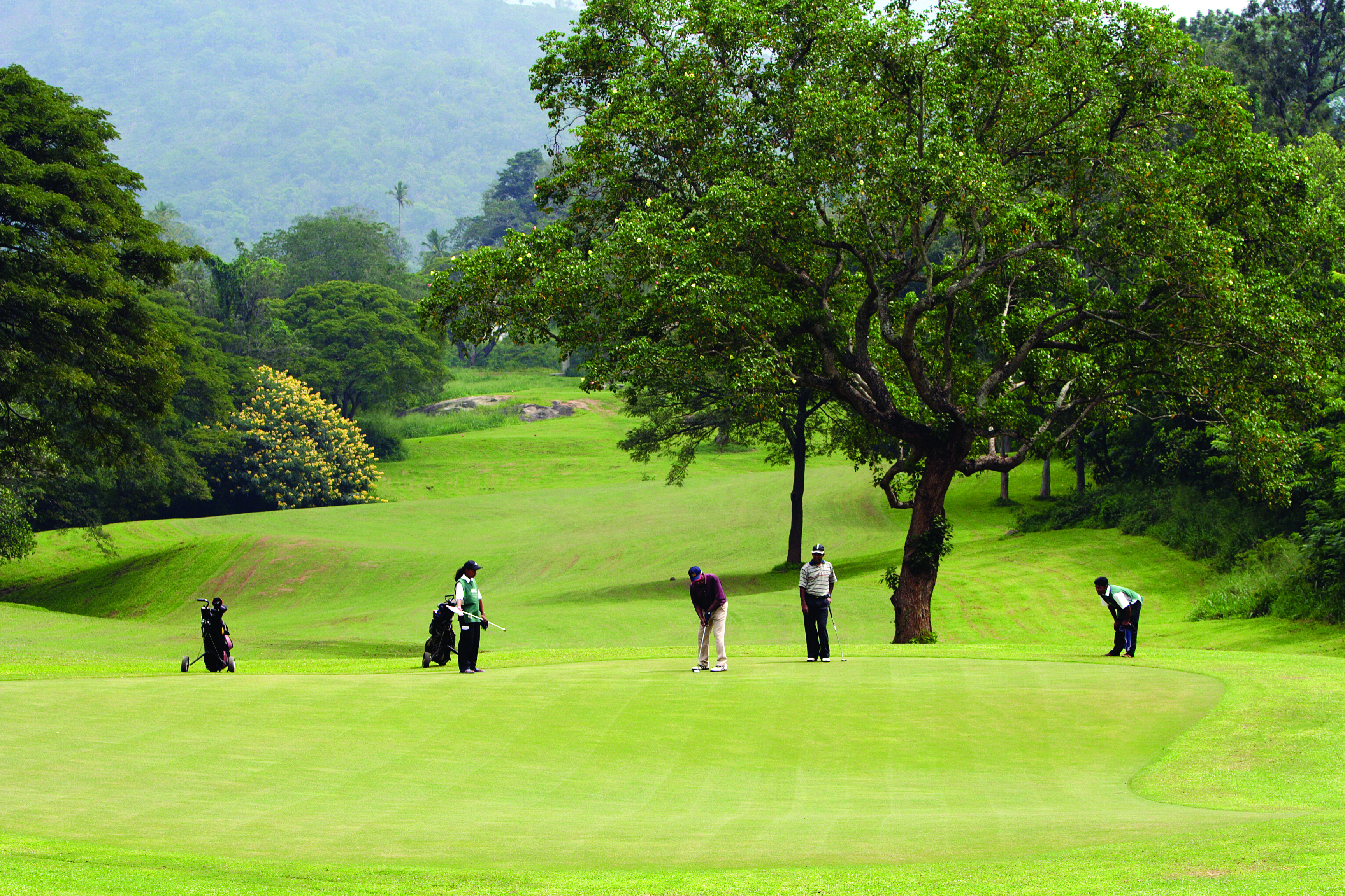 Victoria Golf & Country Resort
