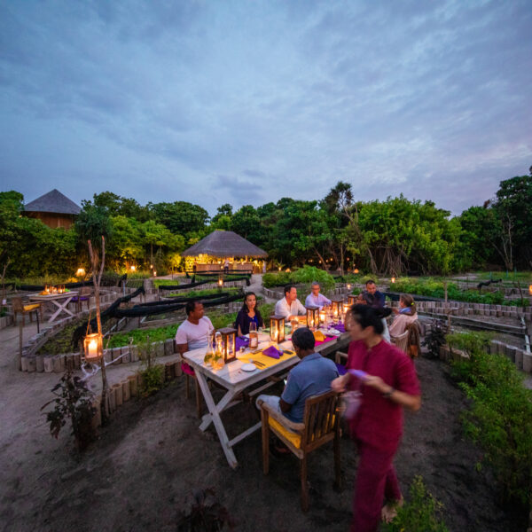 ソネバ ジャニ ソ・ワイルド by ダイアナ・フォン・クラナッハ