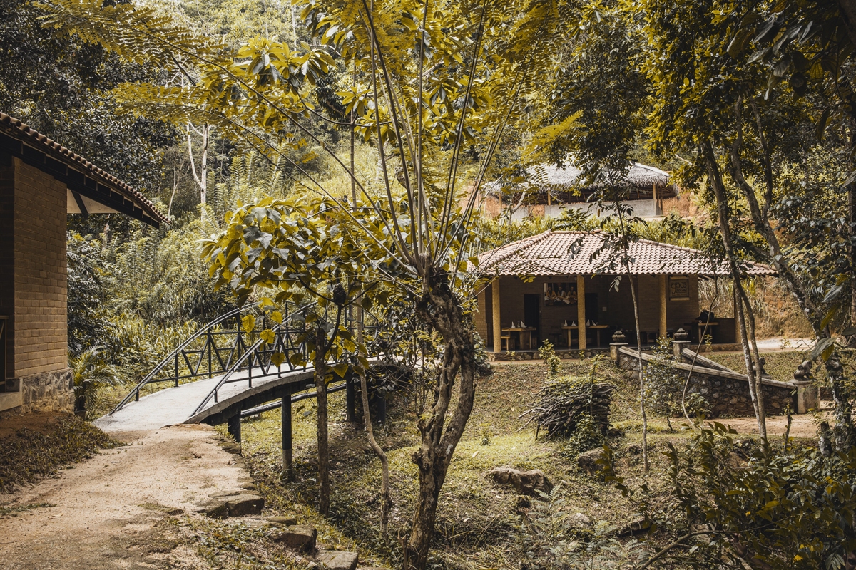 Hotel Tree of Life ホテル・ツリーオブライフ