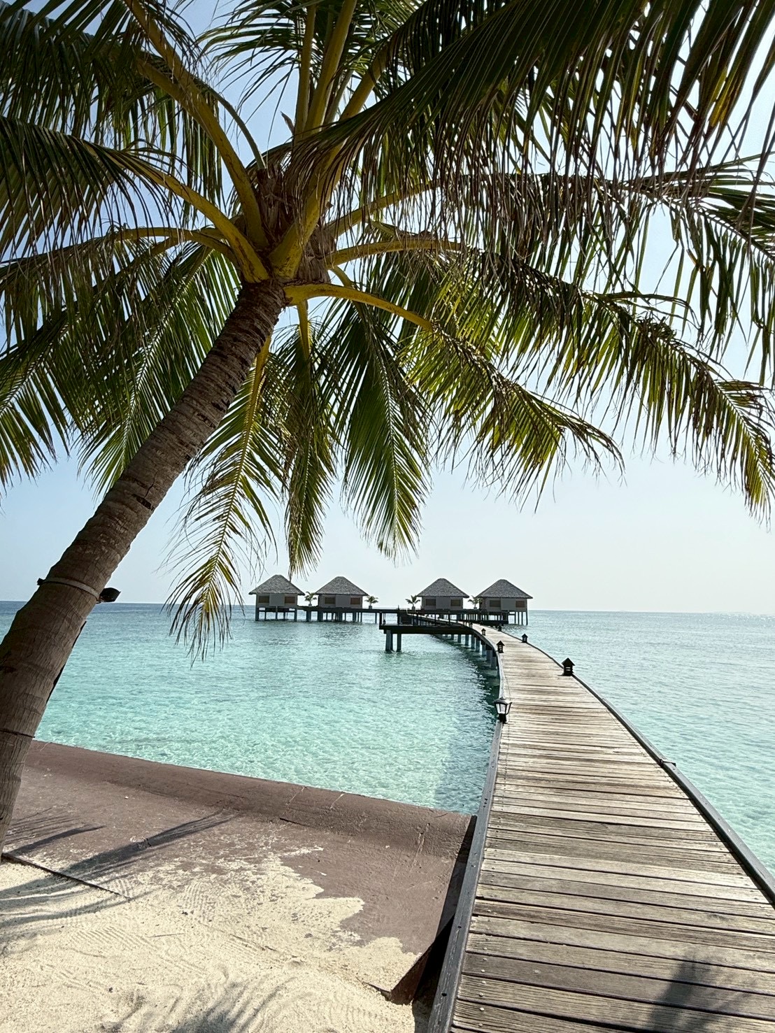 旅行写真