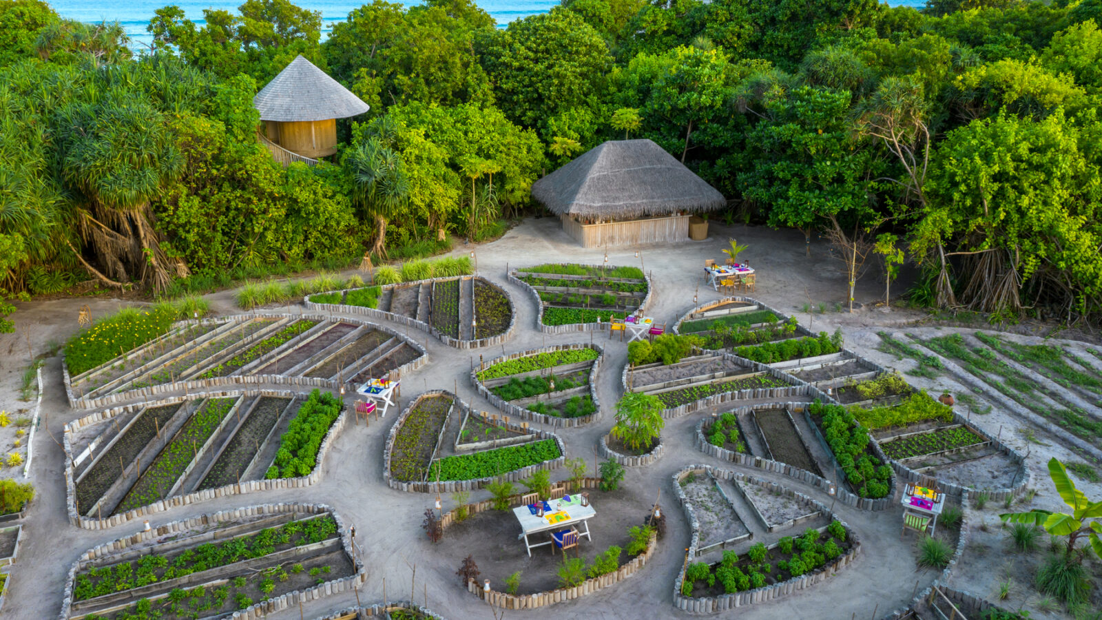 サステナブルな島ライフ ソネバ ジャニ サステナブルな島ライフ