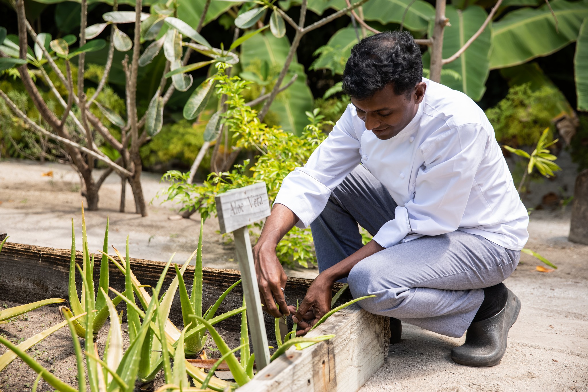 オーガニックガーデン&ファーム ギリ ランカンフシ オーガニックガーデン&ファーム