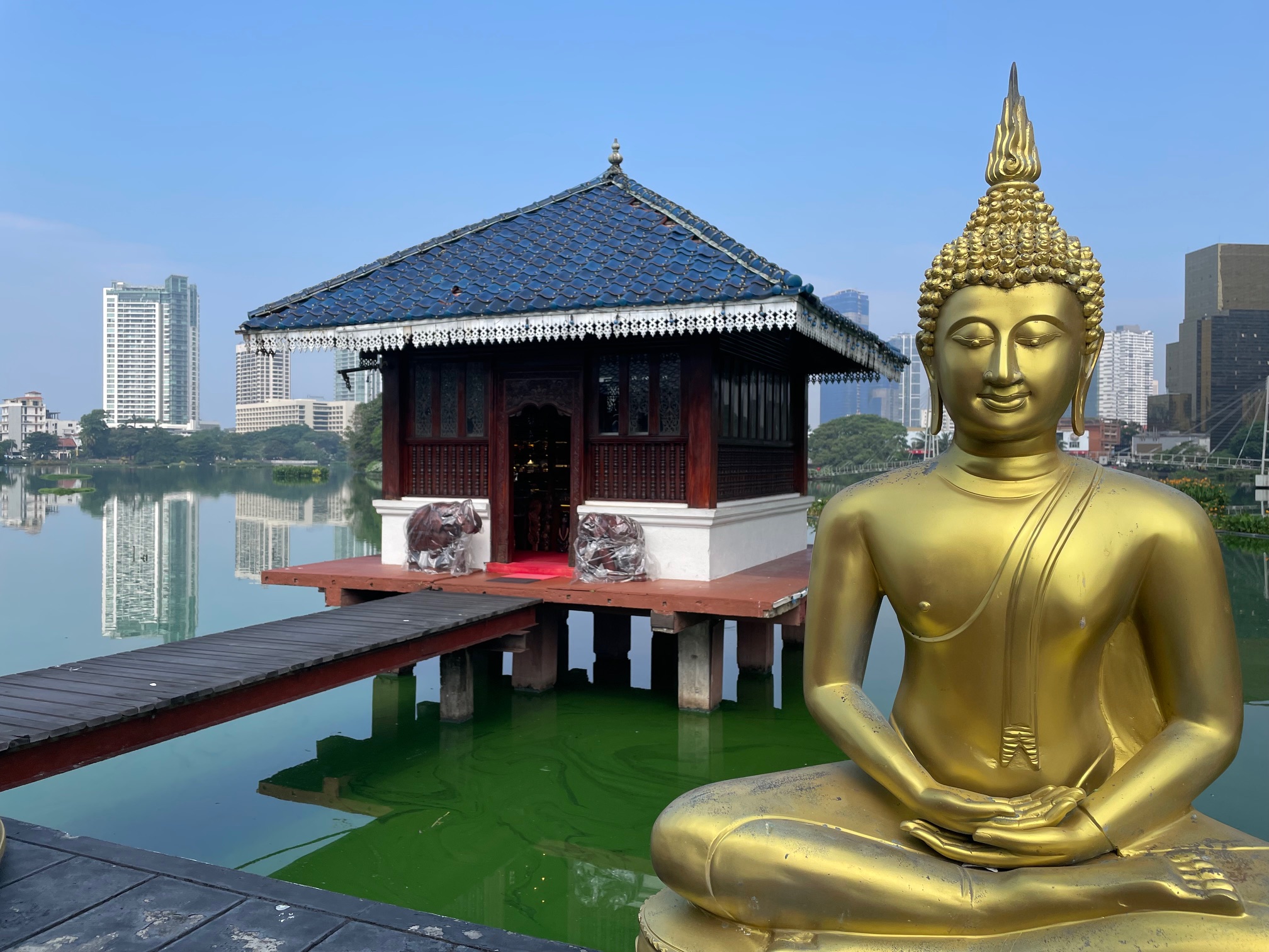 コロンボ市内観光(ガンガラーマ寺院・シーマ・マラカヤ寺院)