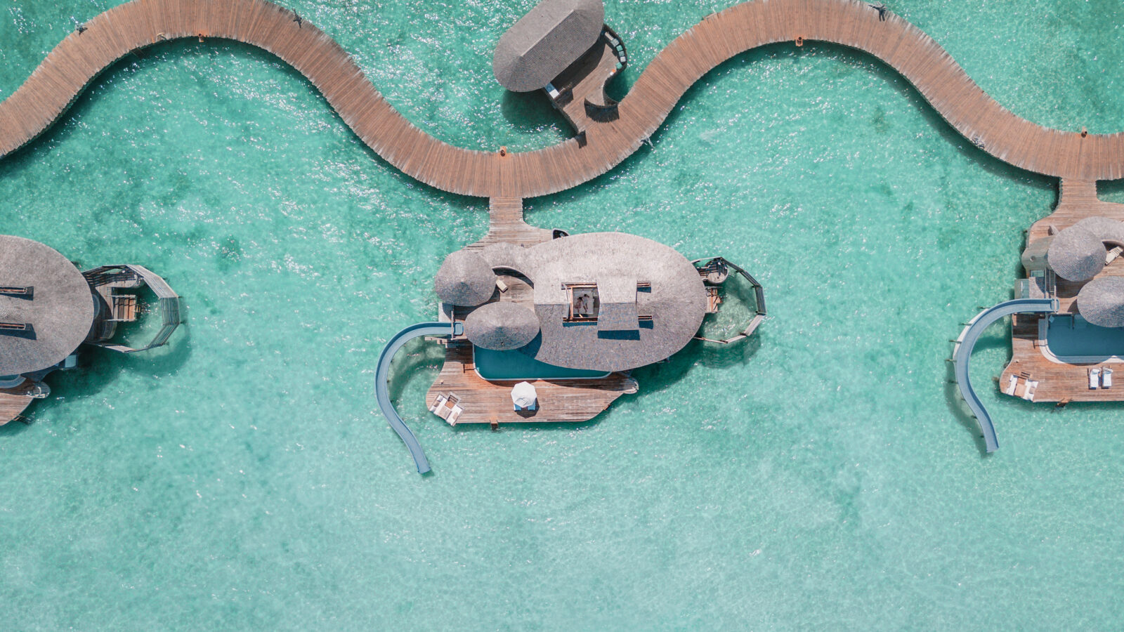 ソネバ ジャニ ヒーロー画像