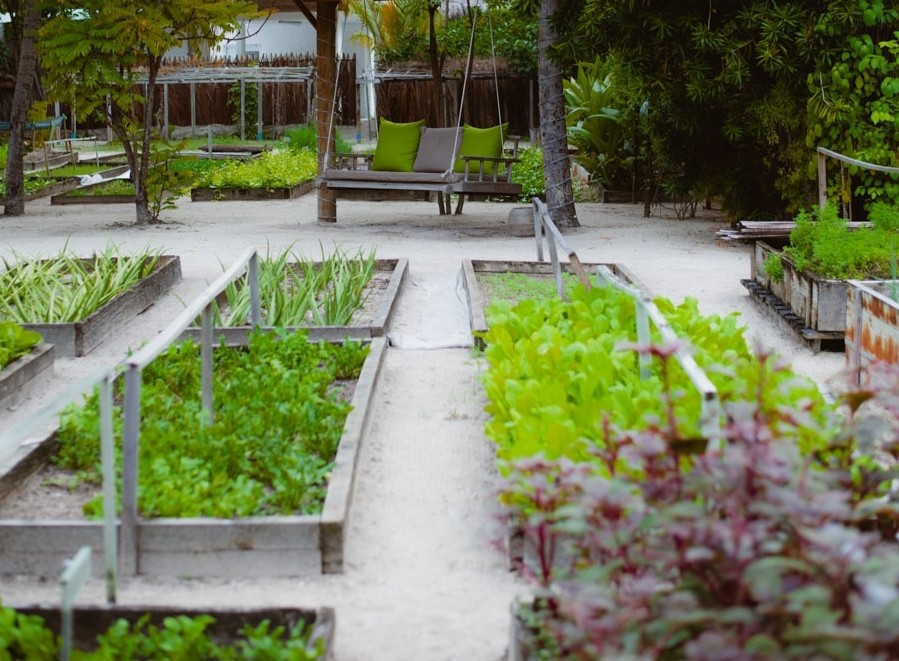 ギリ ランカンフシ Organic Garden