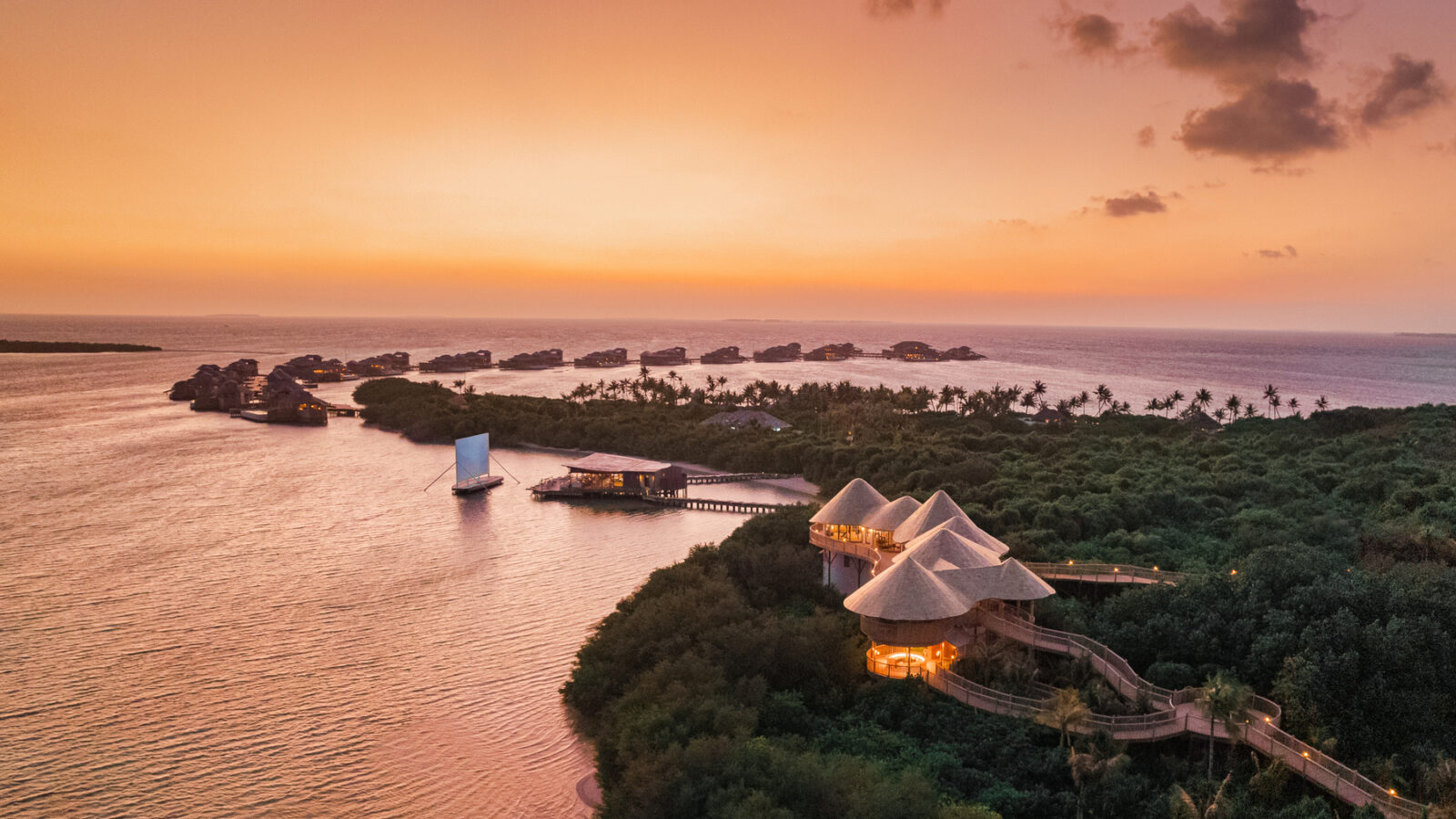 ソネバ ジャニ お問い合わせ