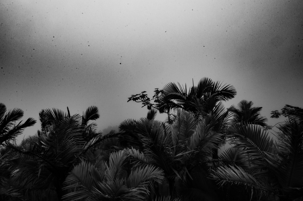 Featured photography 4