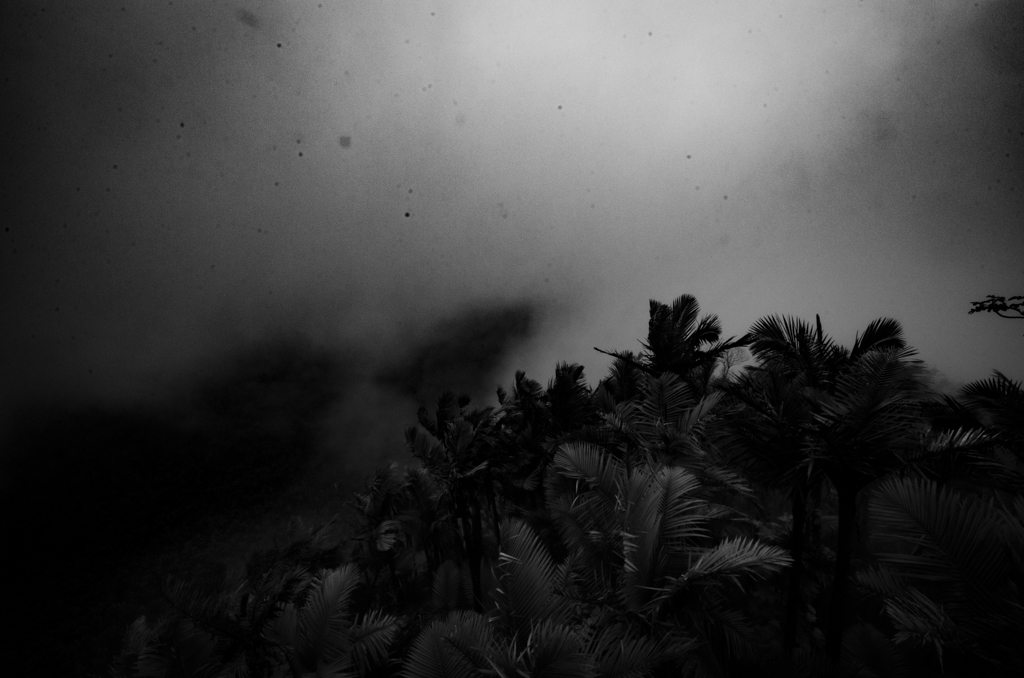 Night Rain