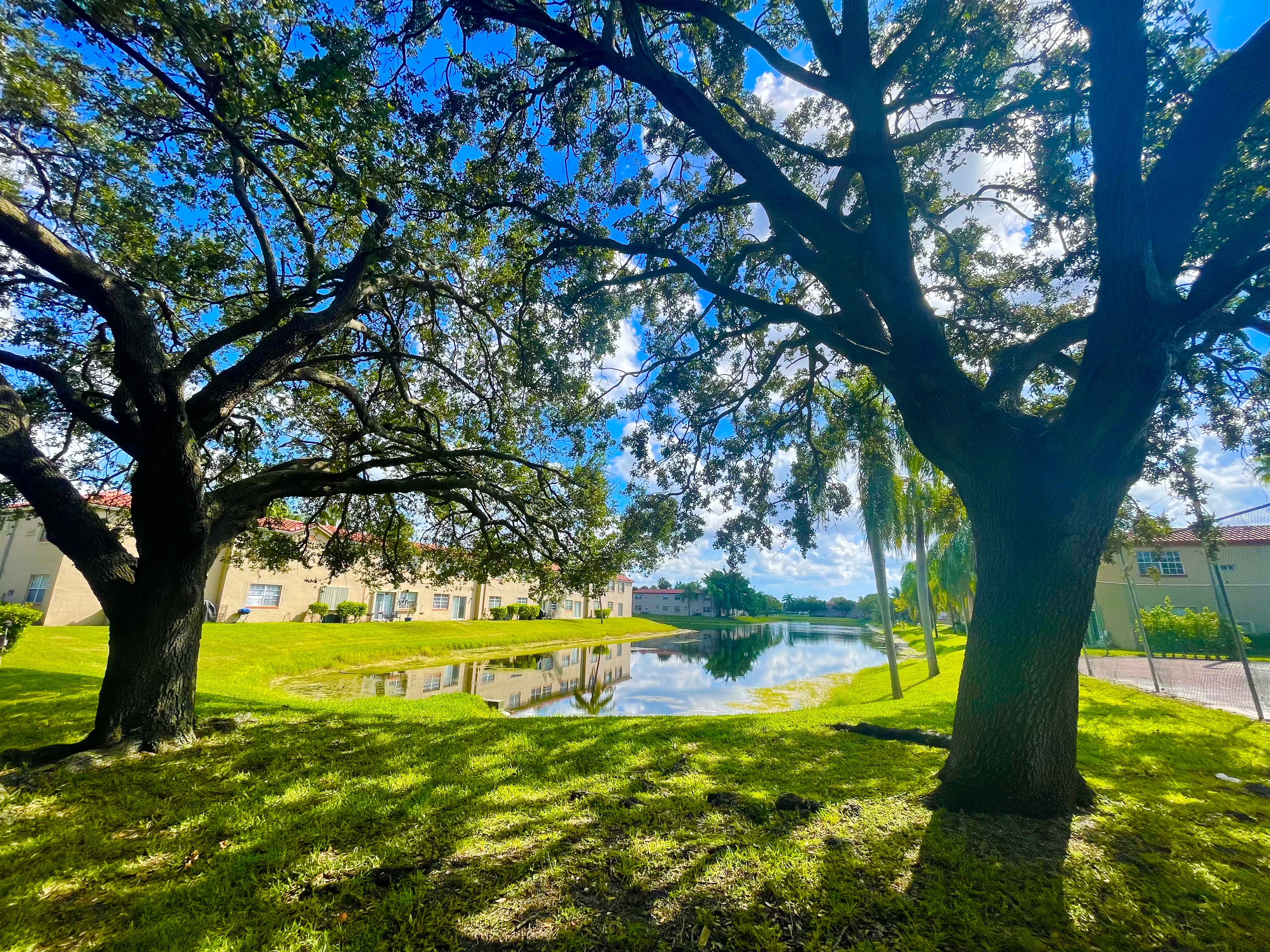 Windmill Lakes lake view
