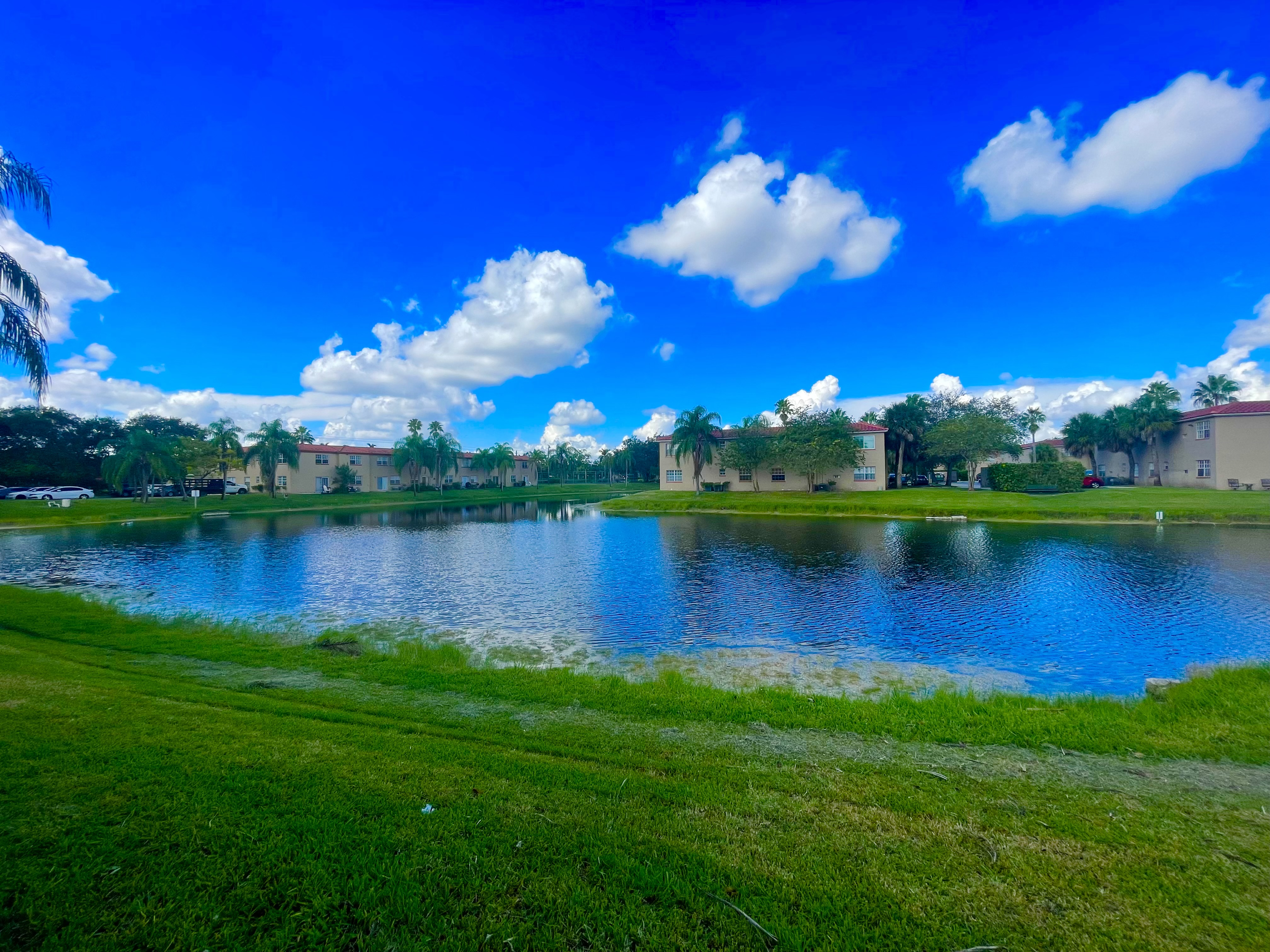Windmill Lakes dense green landscaping and quiet sitting spot