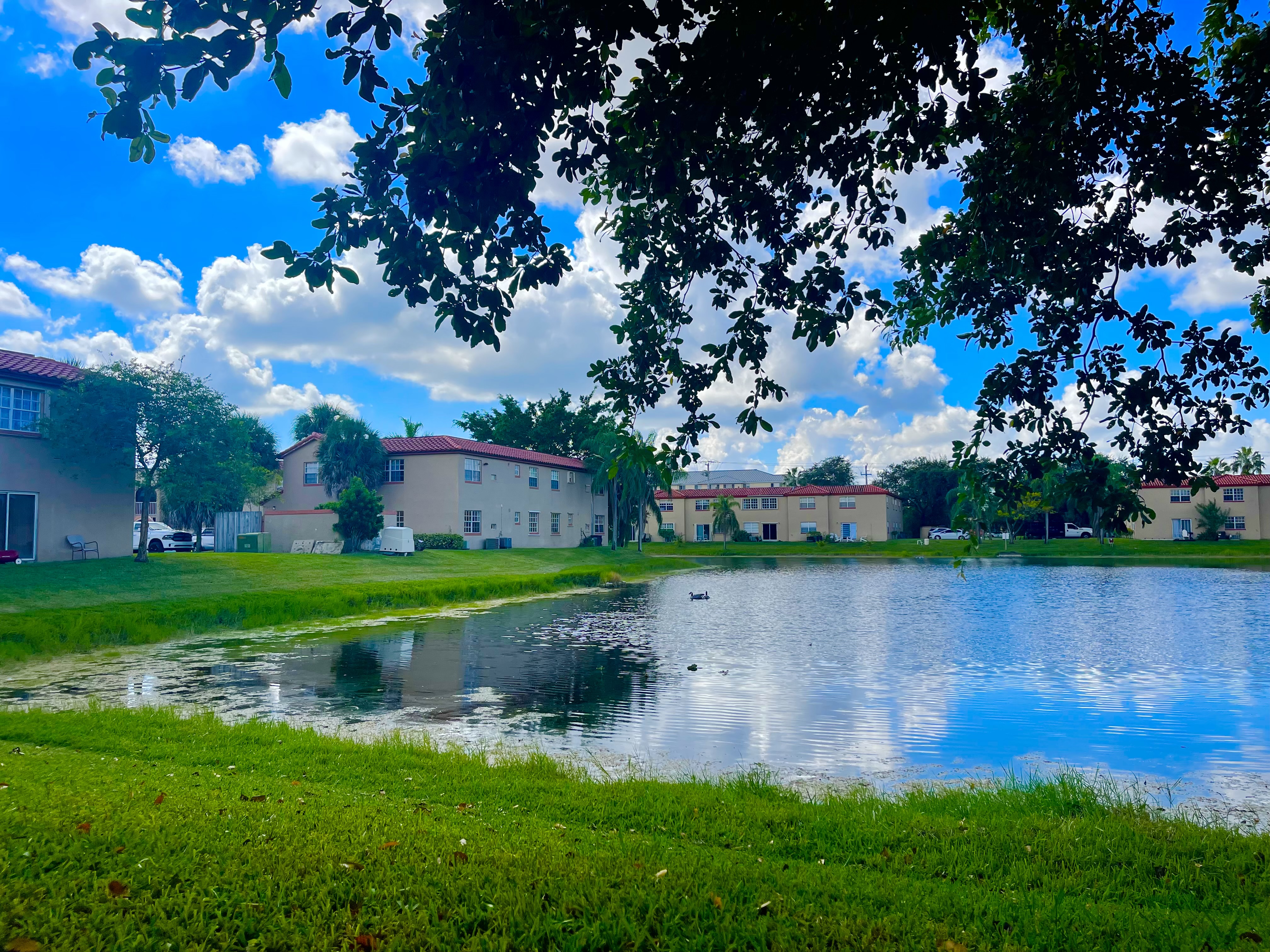 Windmill Lakes neighborhood street with landscaped median
