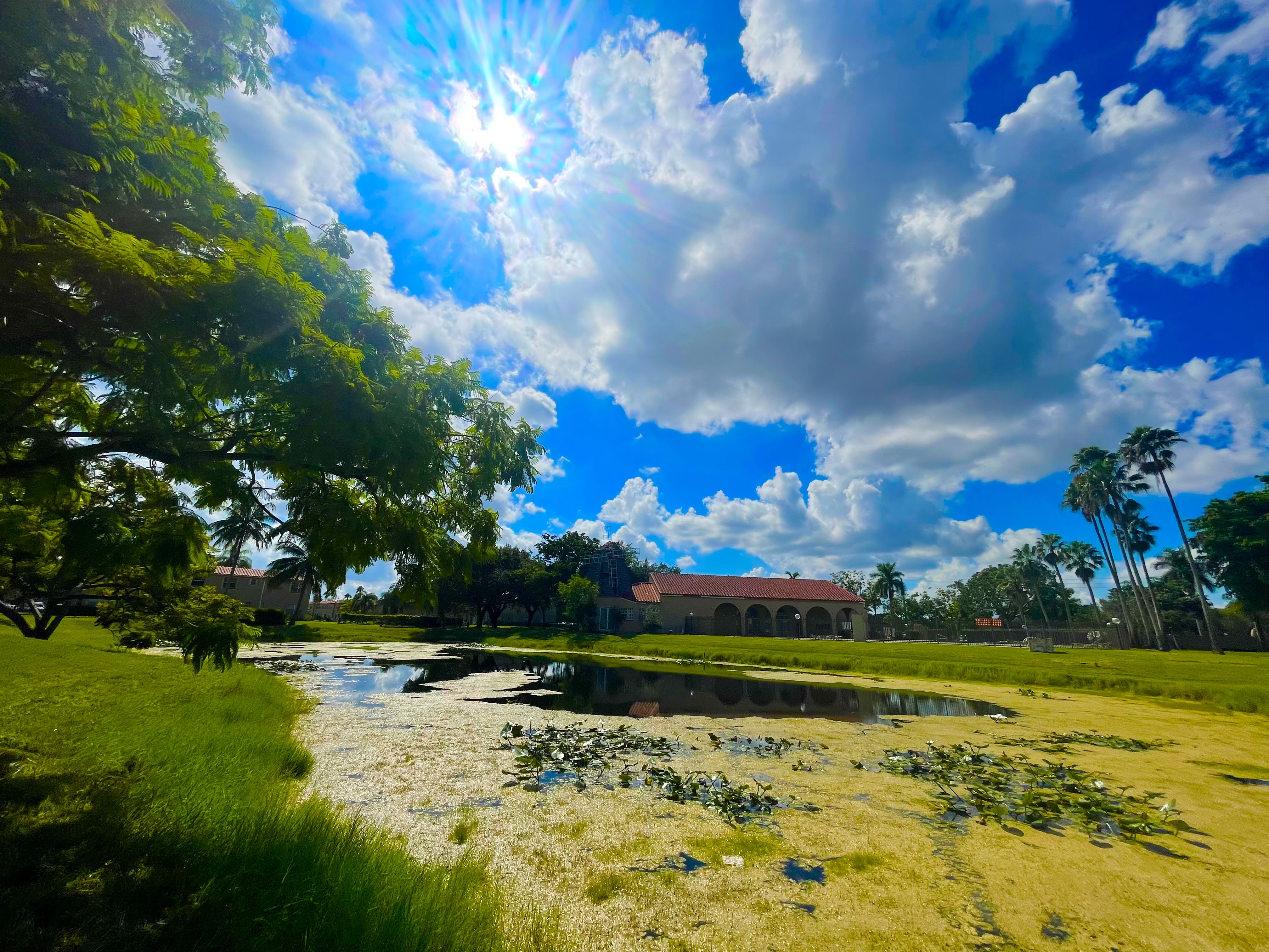 Windmill Lakes open community lawn near the lake