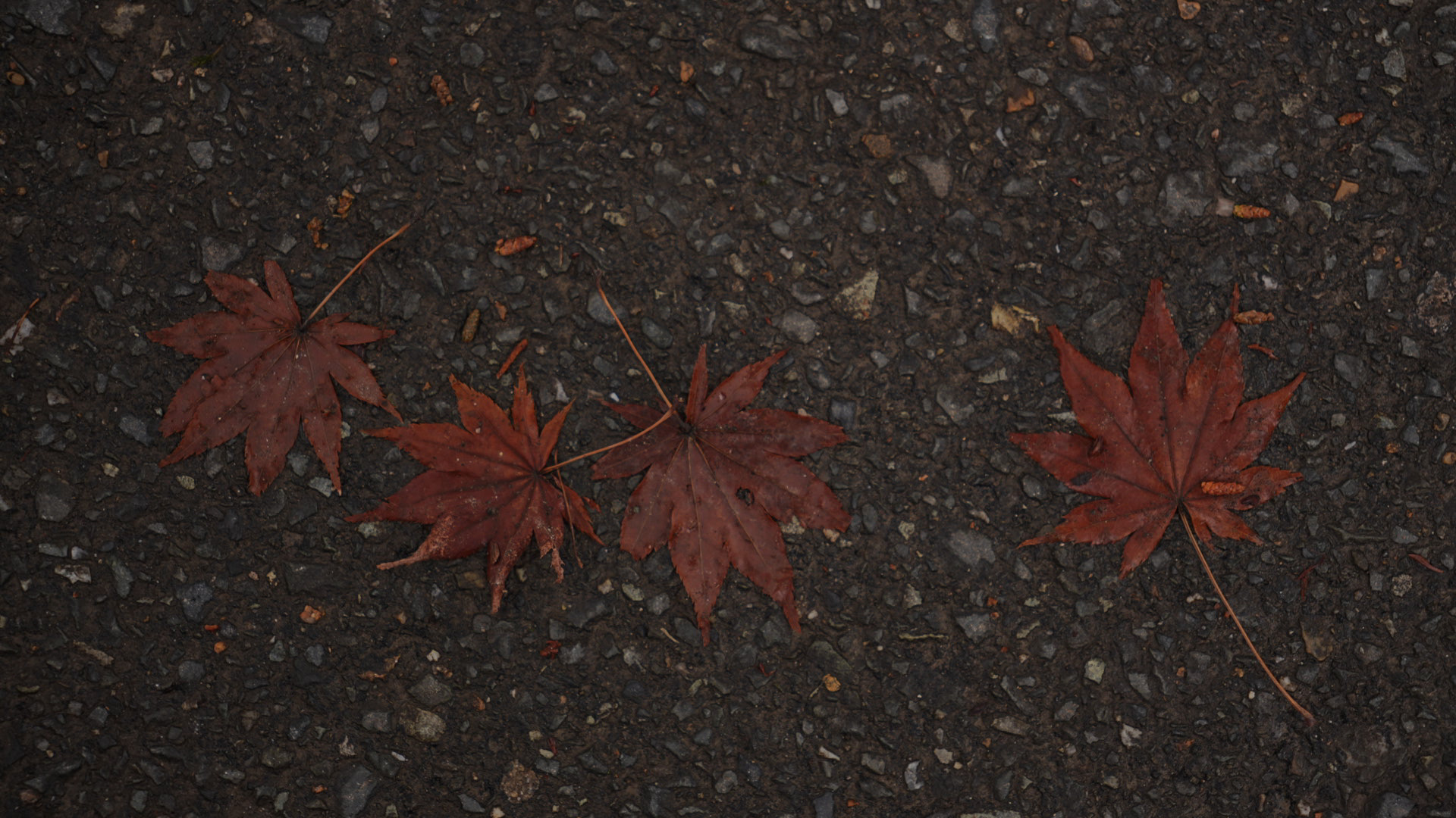 The Clarifying Ritual Set