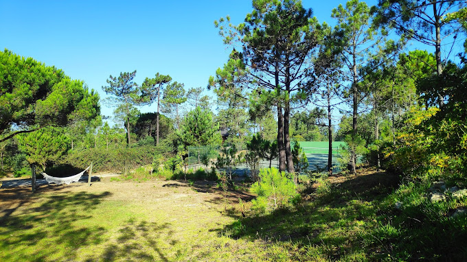 Утро начинается медленно и по-человечески.