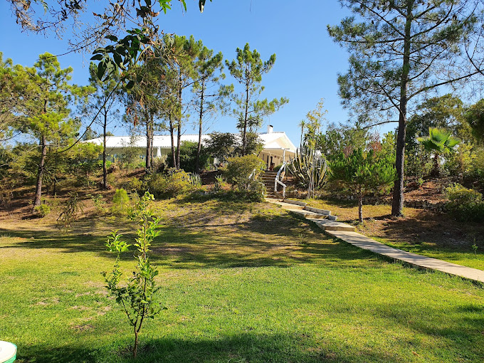 Здесь живут разговоры, которые продолжаются до рассвета.