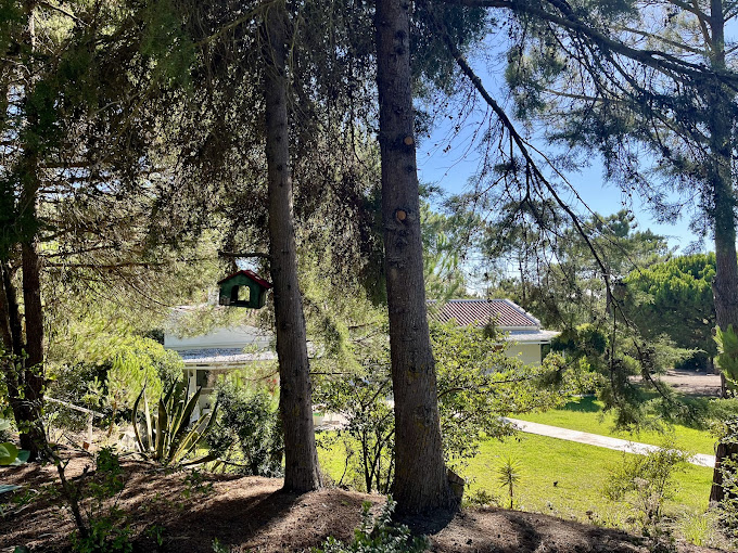 Общие пространства, где рождается сообщество.