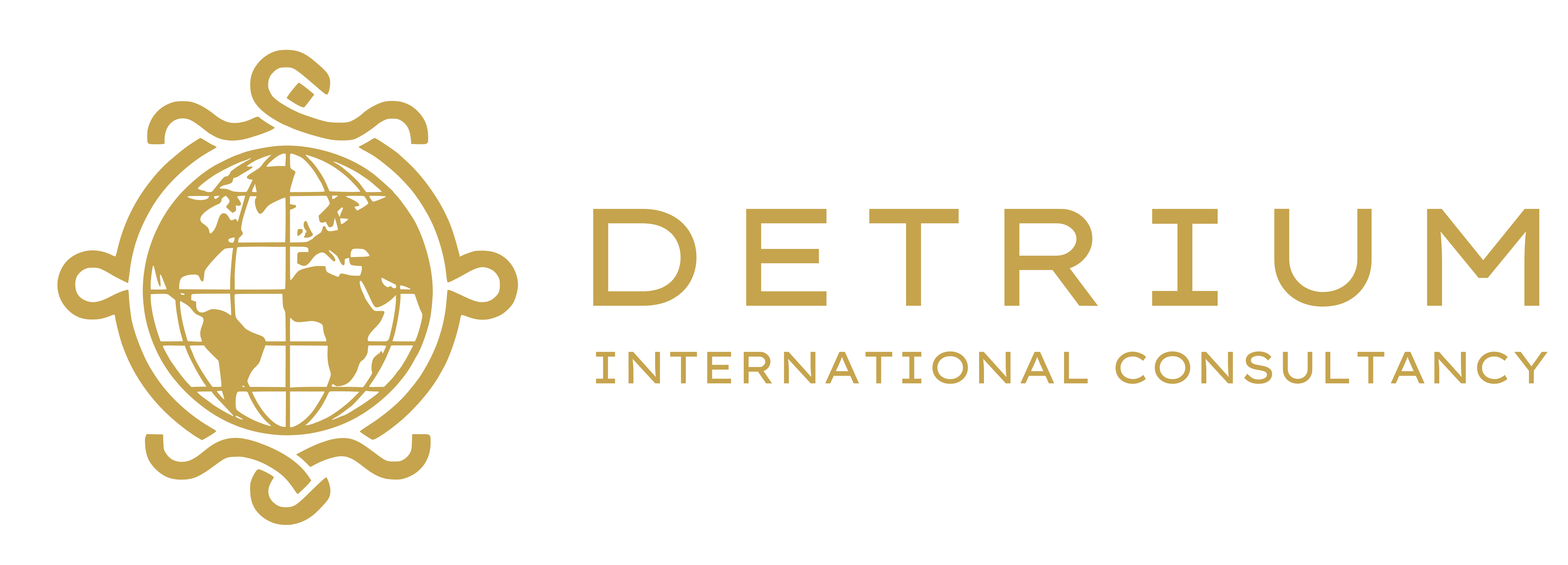 Detrium Consultoria Internacional