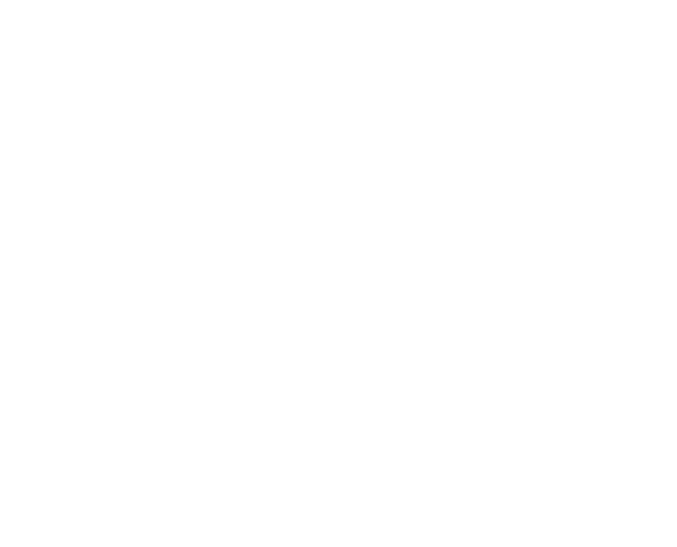 Black Dog Settlement Services